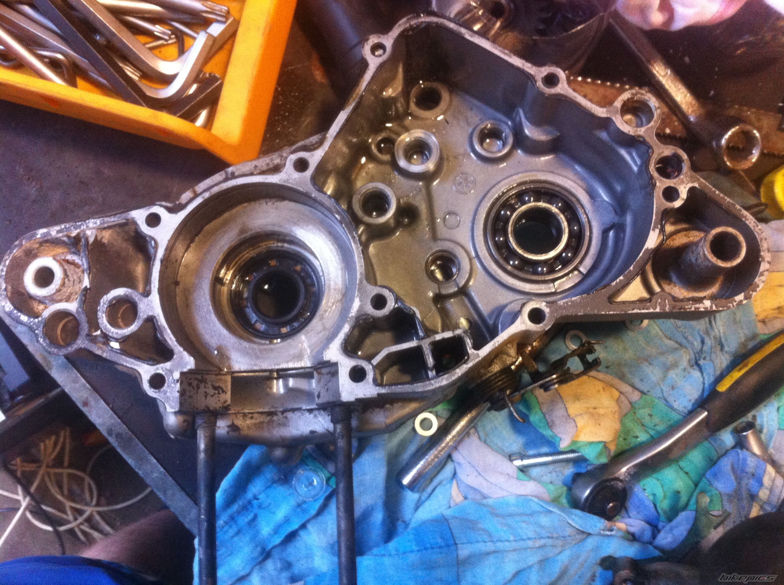 Photo 2553544
