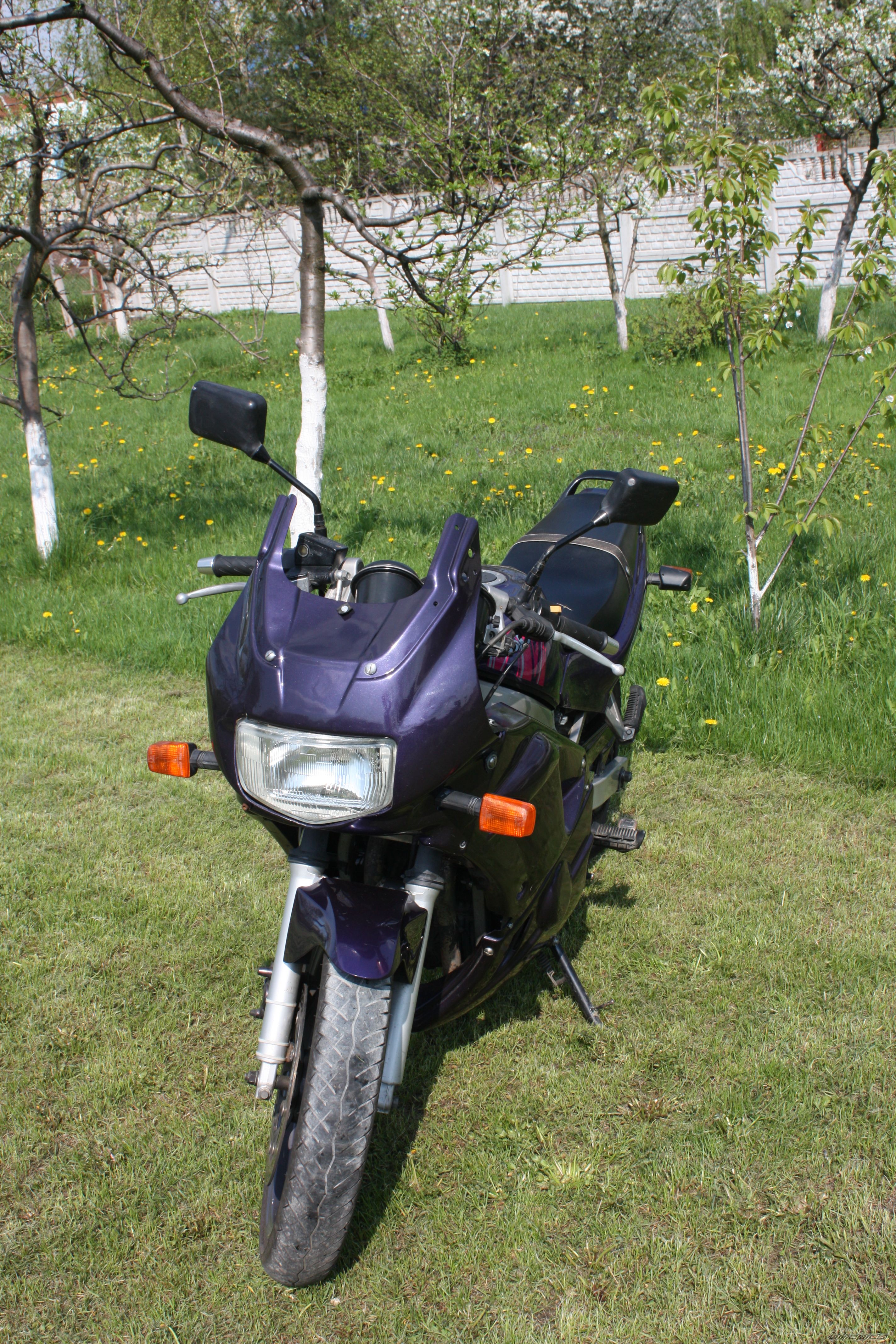 Photo 2553570