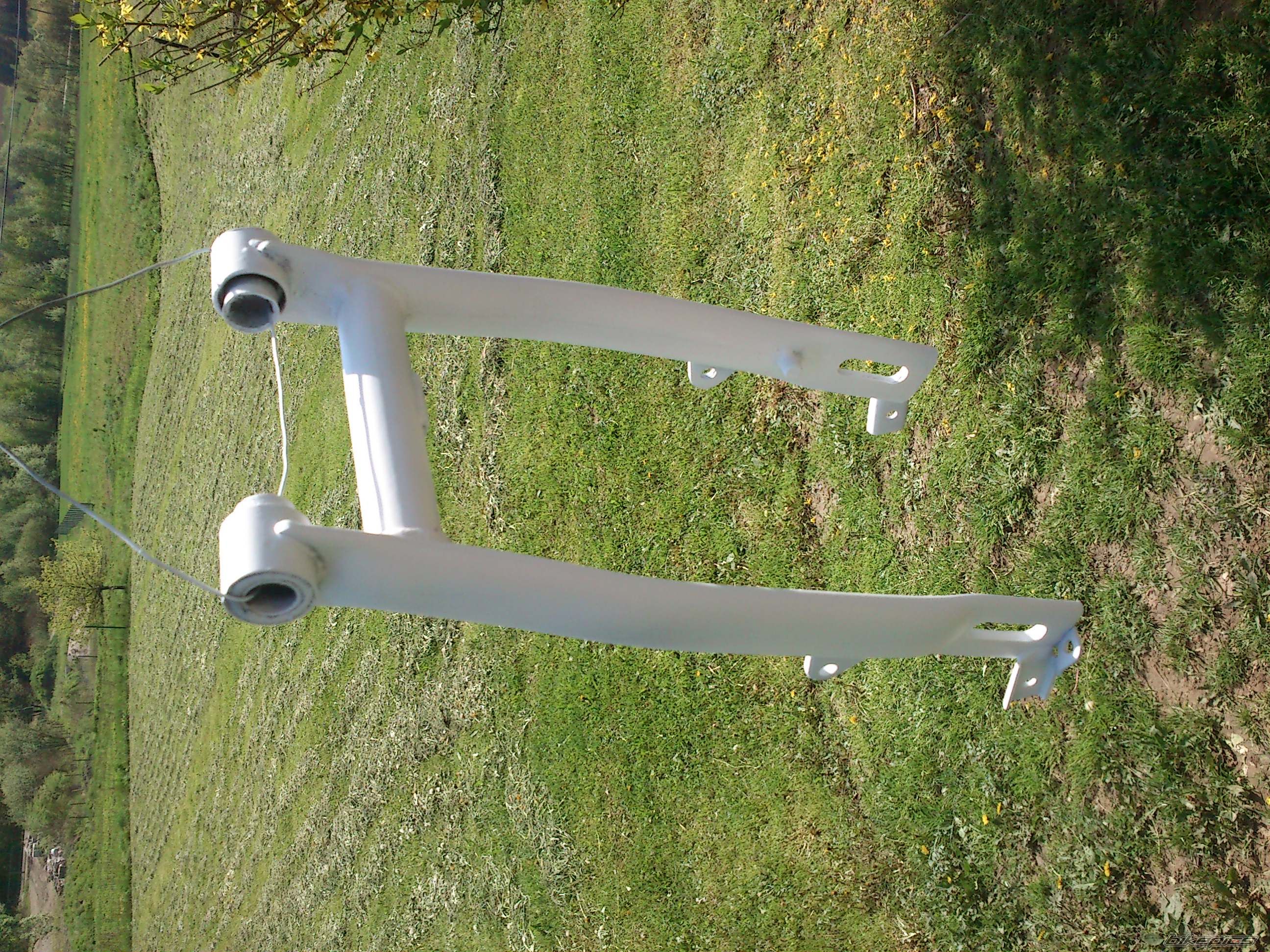 Photo 2553677