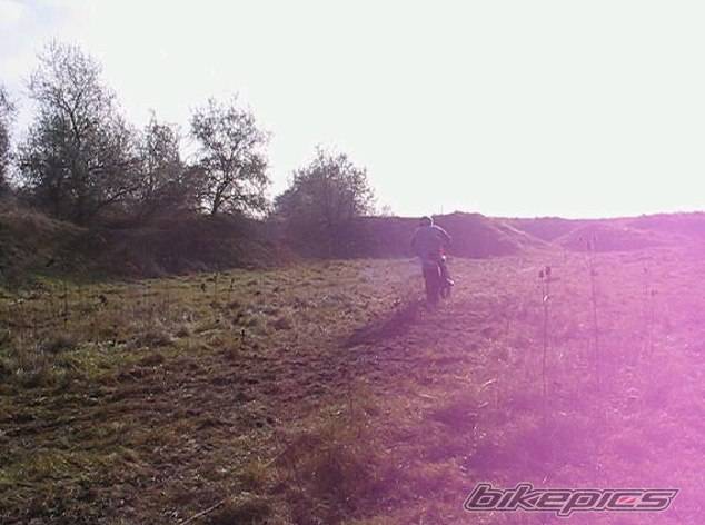 Photo 255370