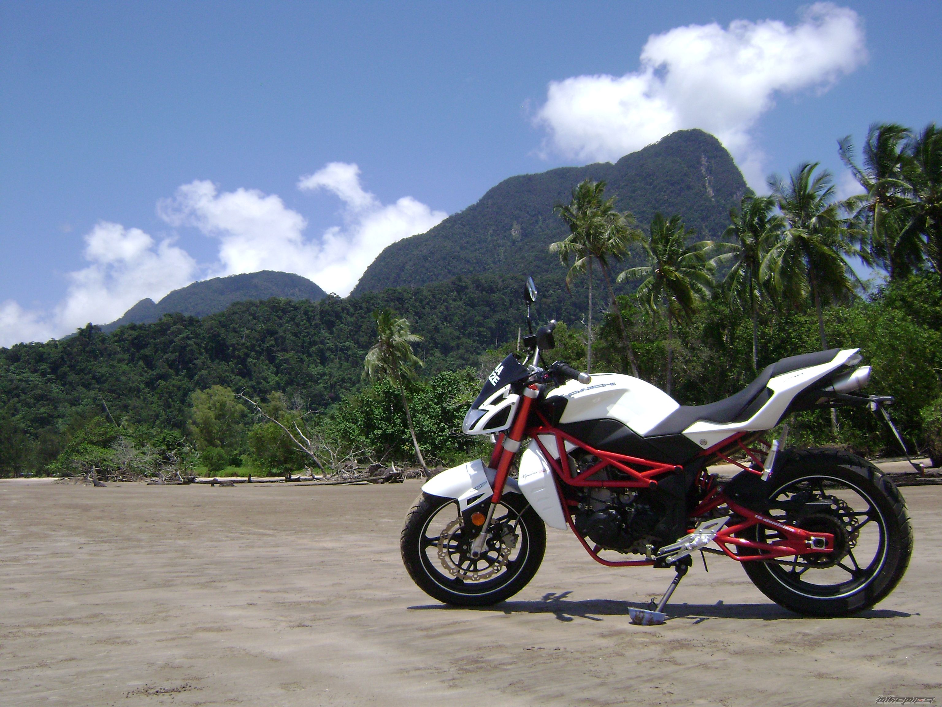 Photo 2553788