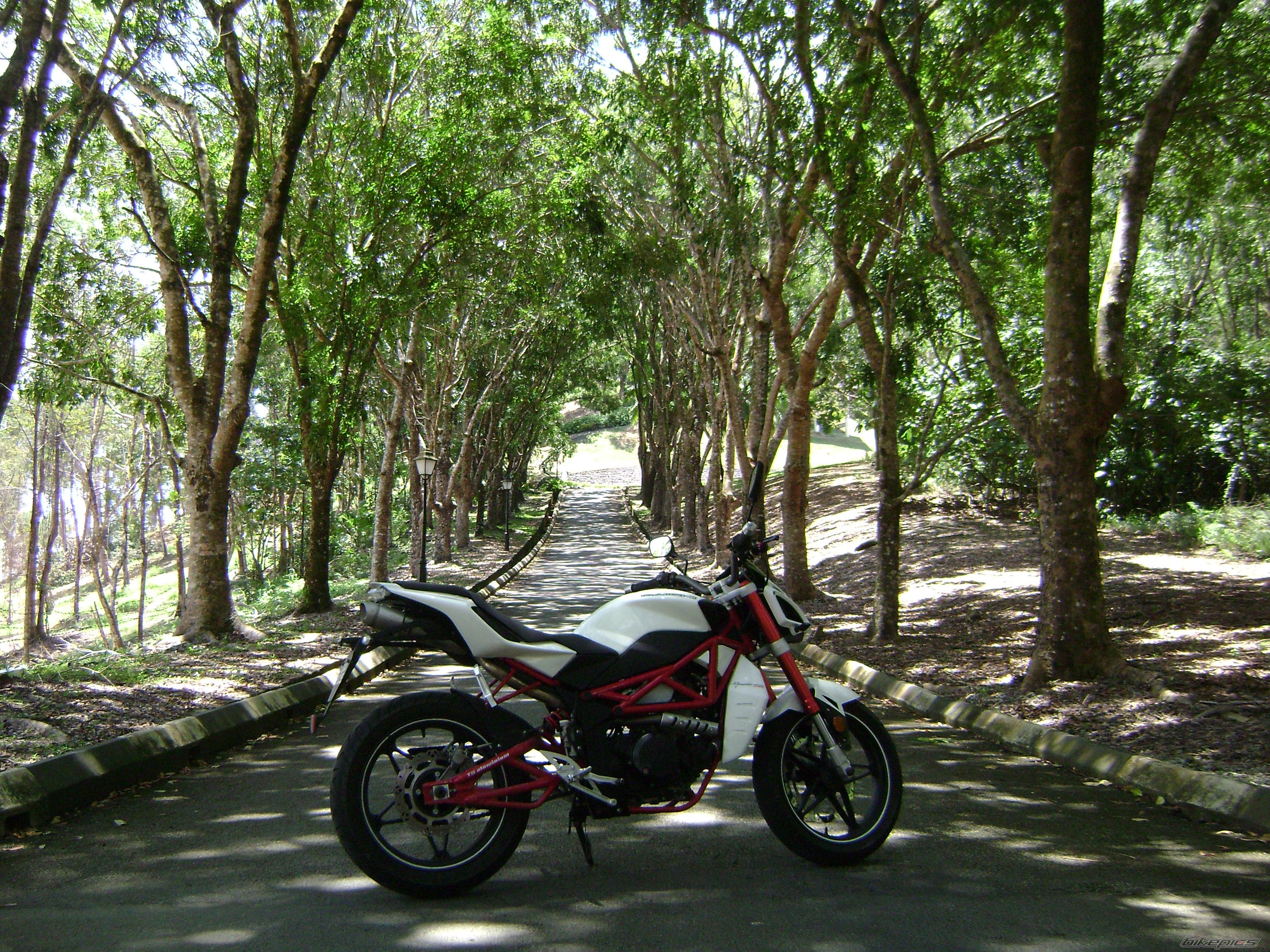 Photo 2553789