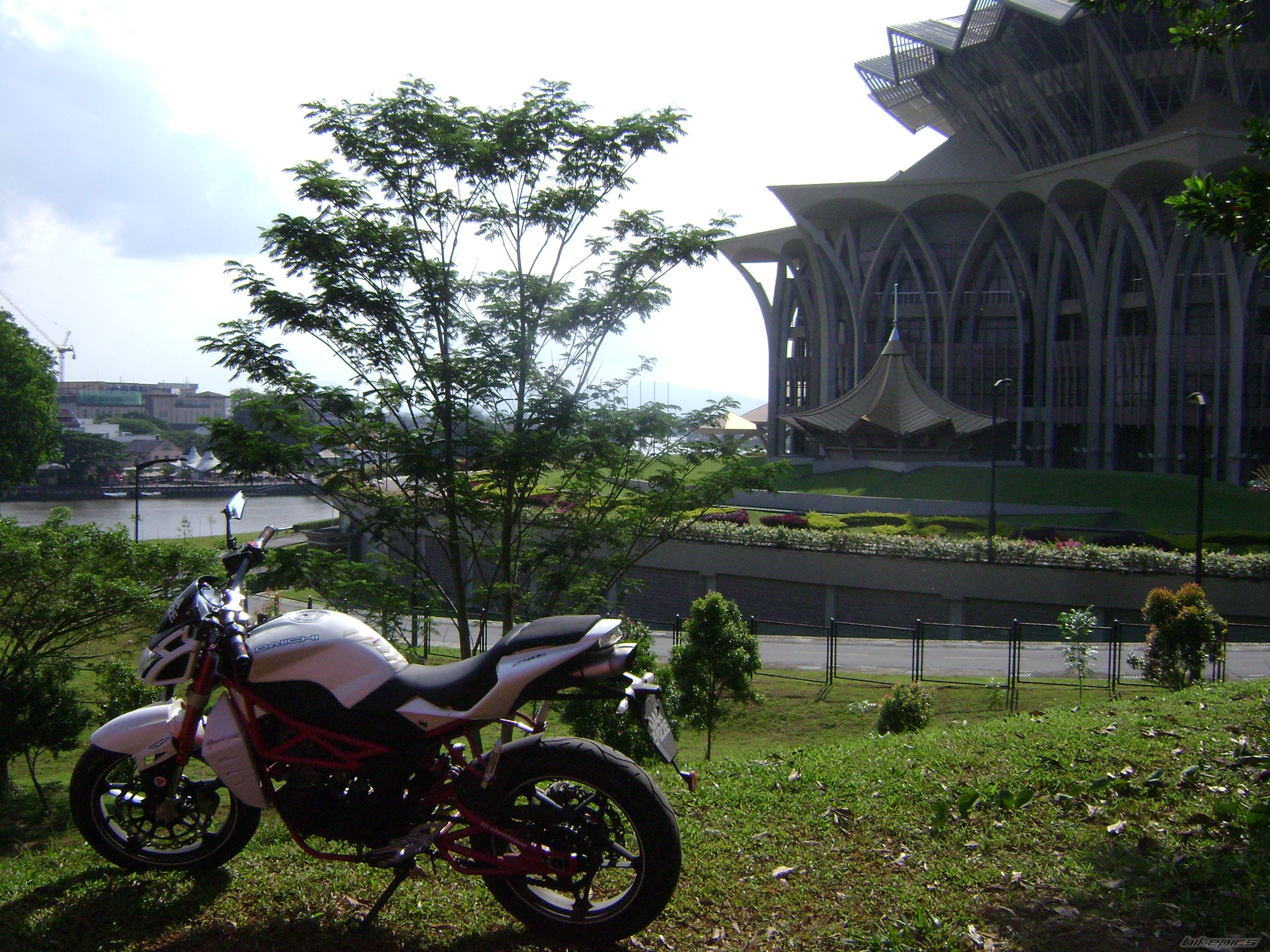 Photo 2553797