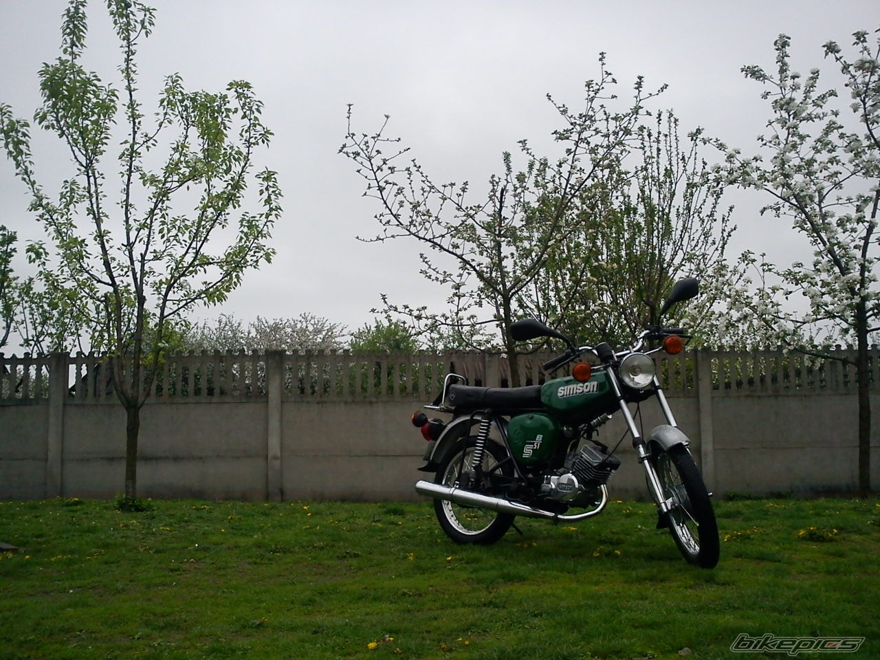 Photo 2553835