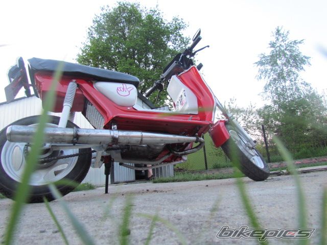Photo 2553840