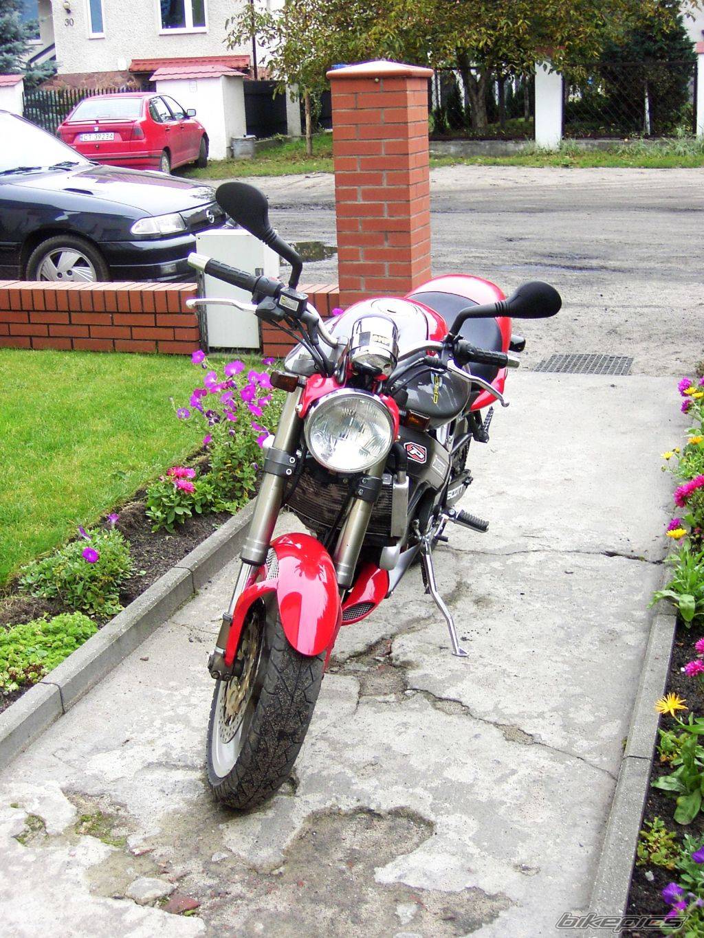 Photo 255386