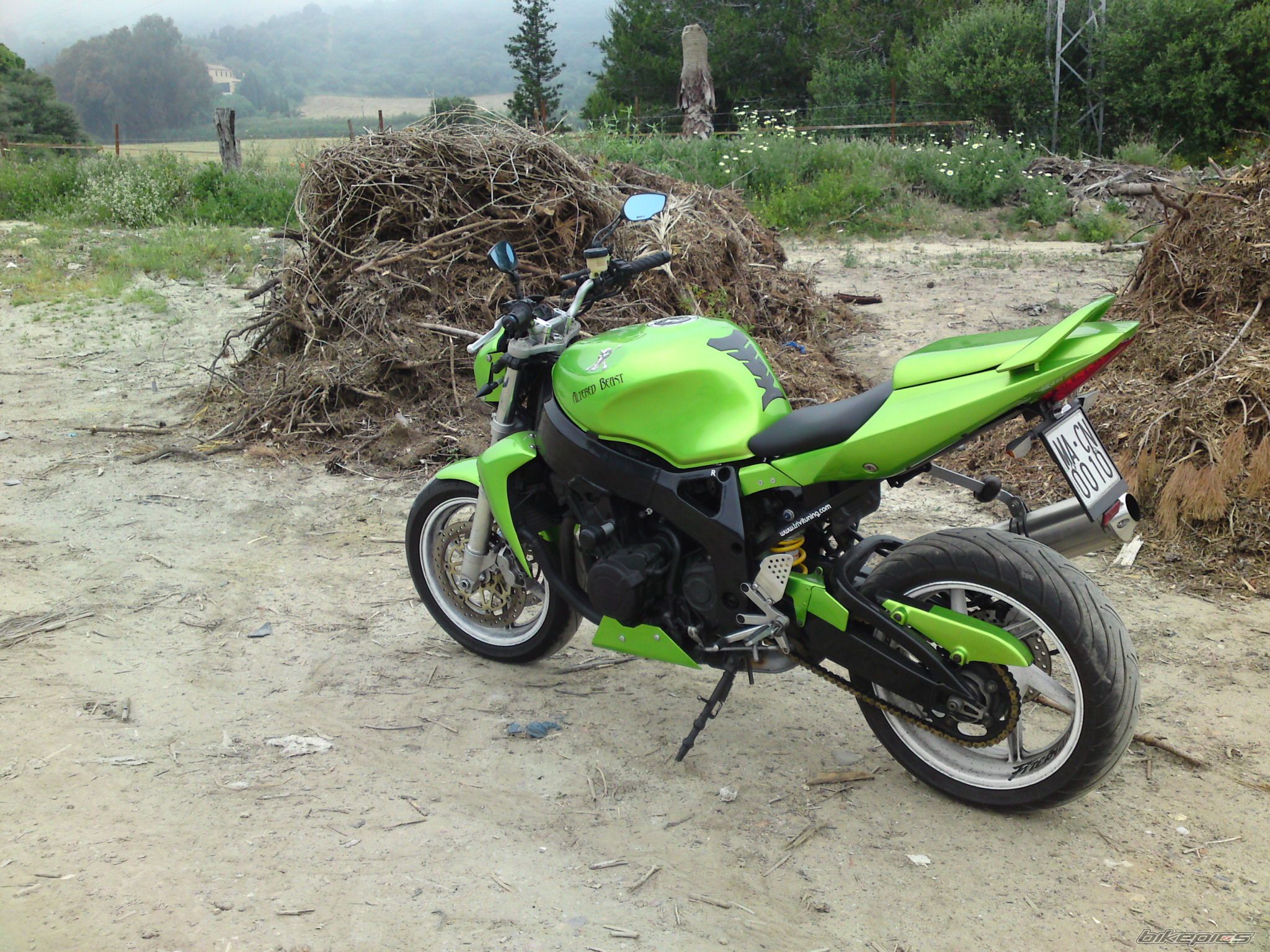 Photo 2553873