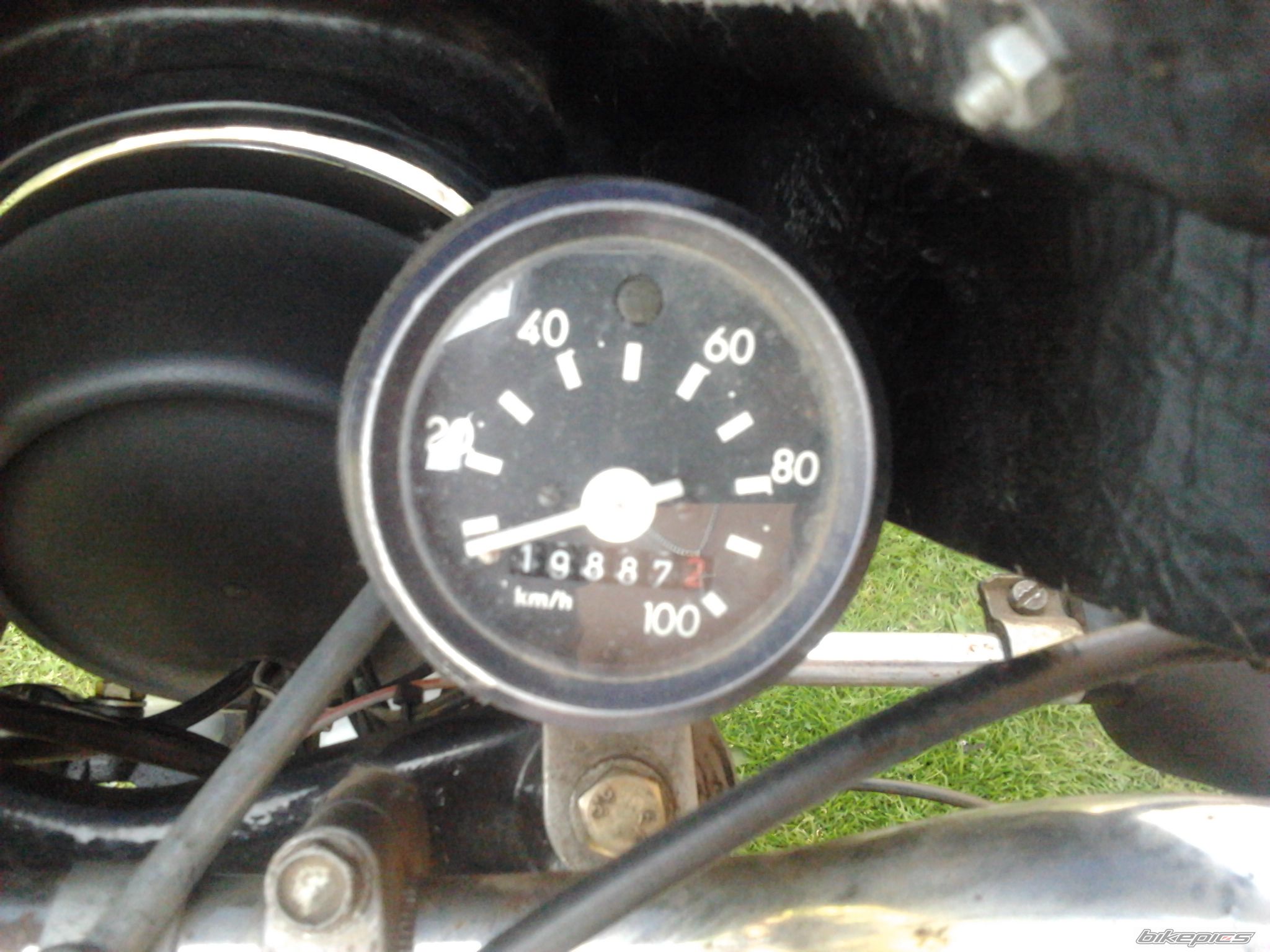 Photo 2553894