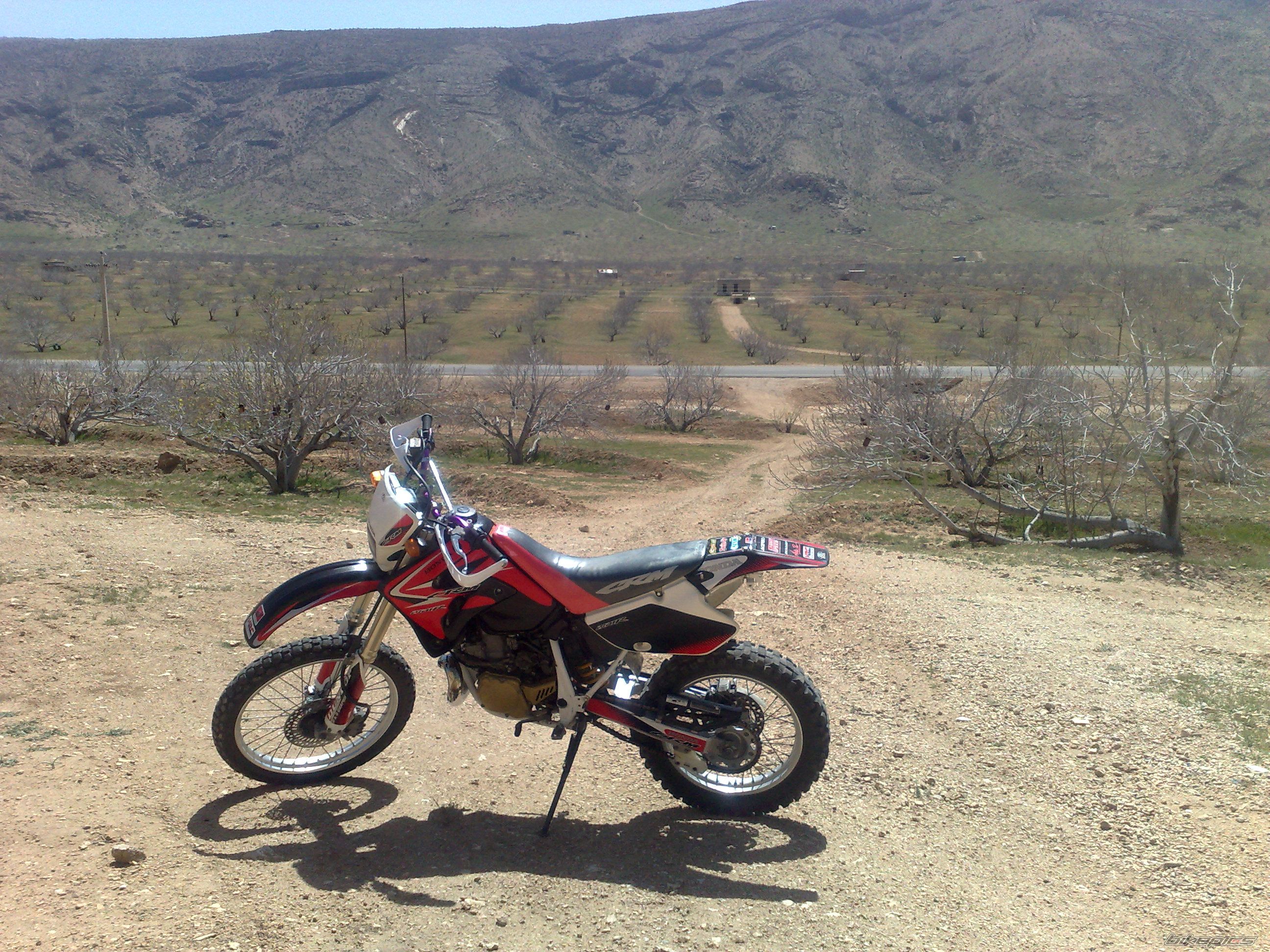 Bike Photo 2553964