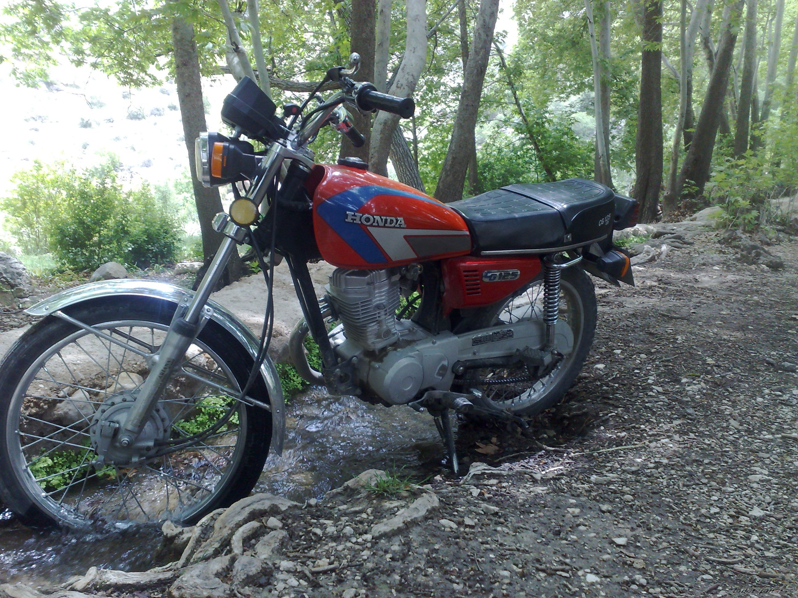 Photo 2553968