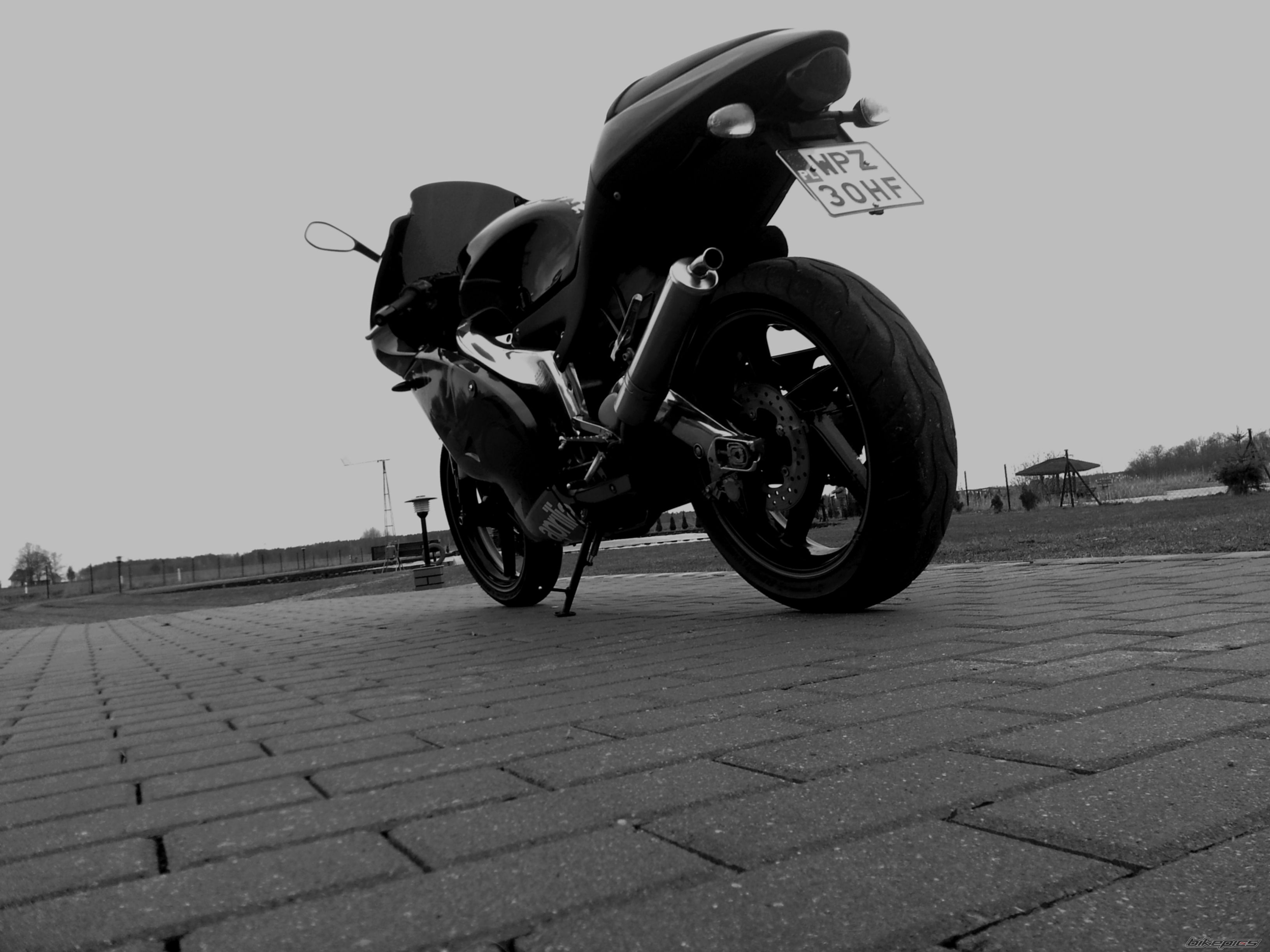 Photo 2553992