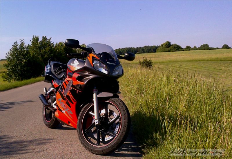 Photo 2553994
