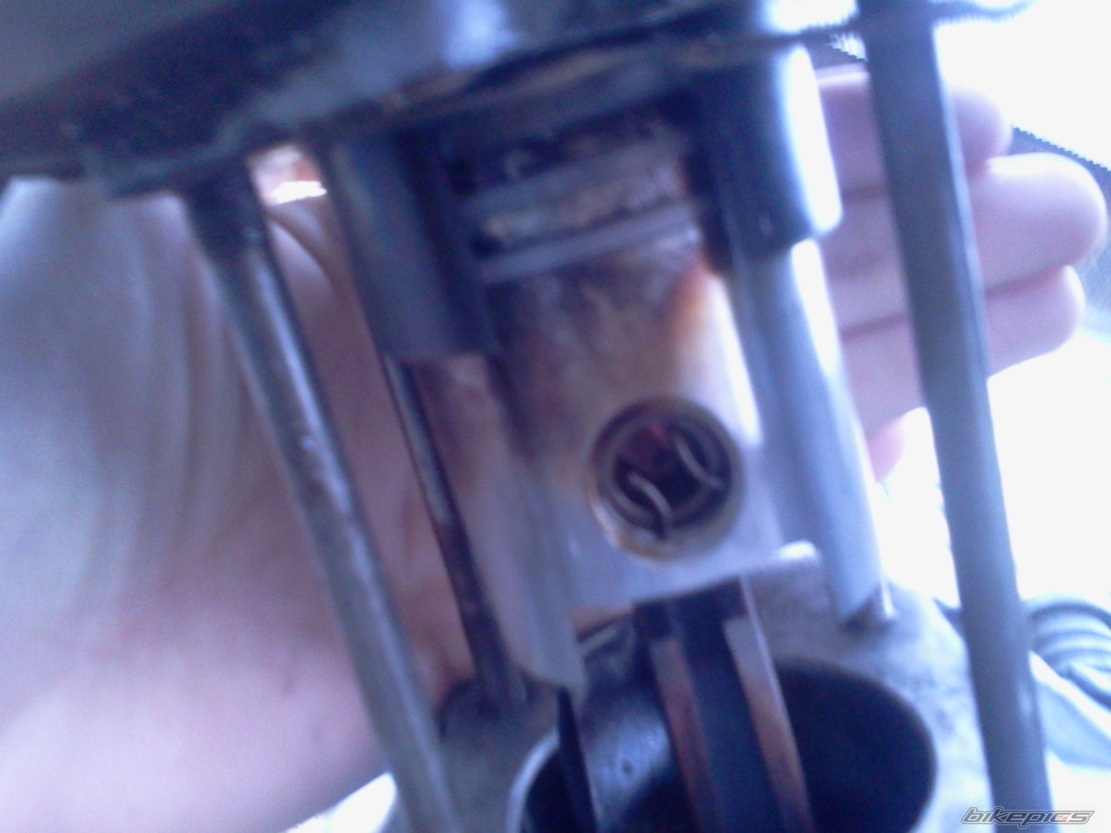 Photo 2553996