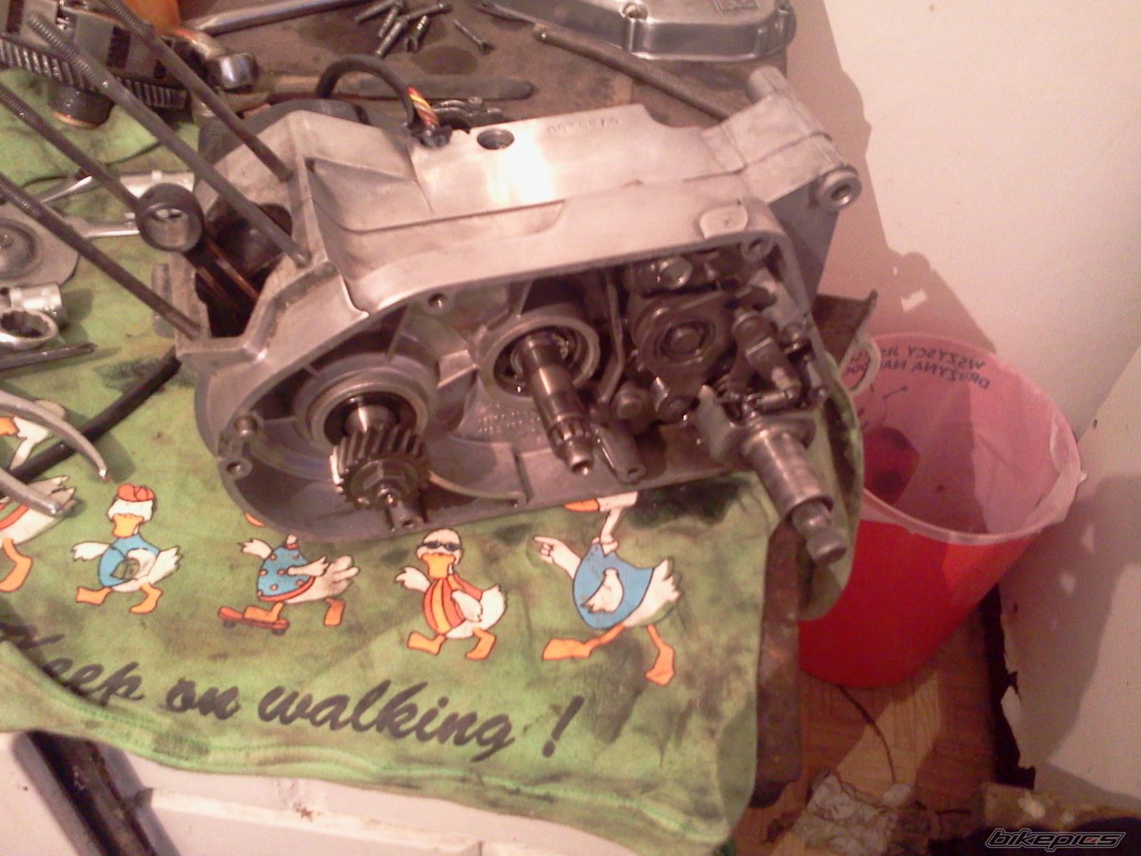 Photo 2554009