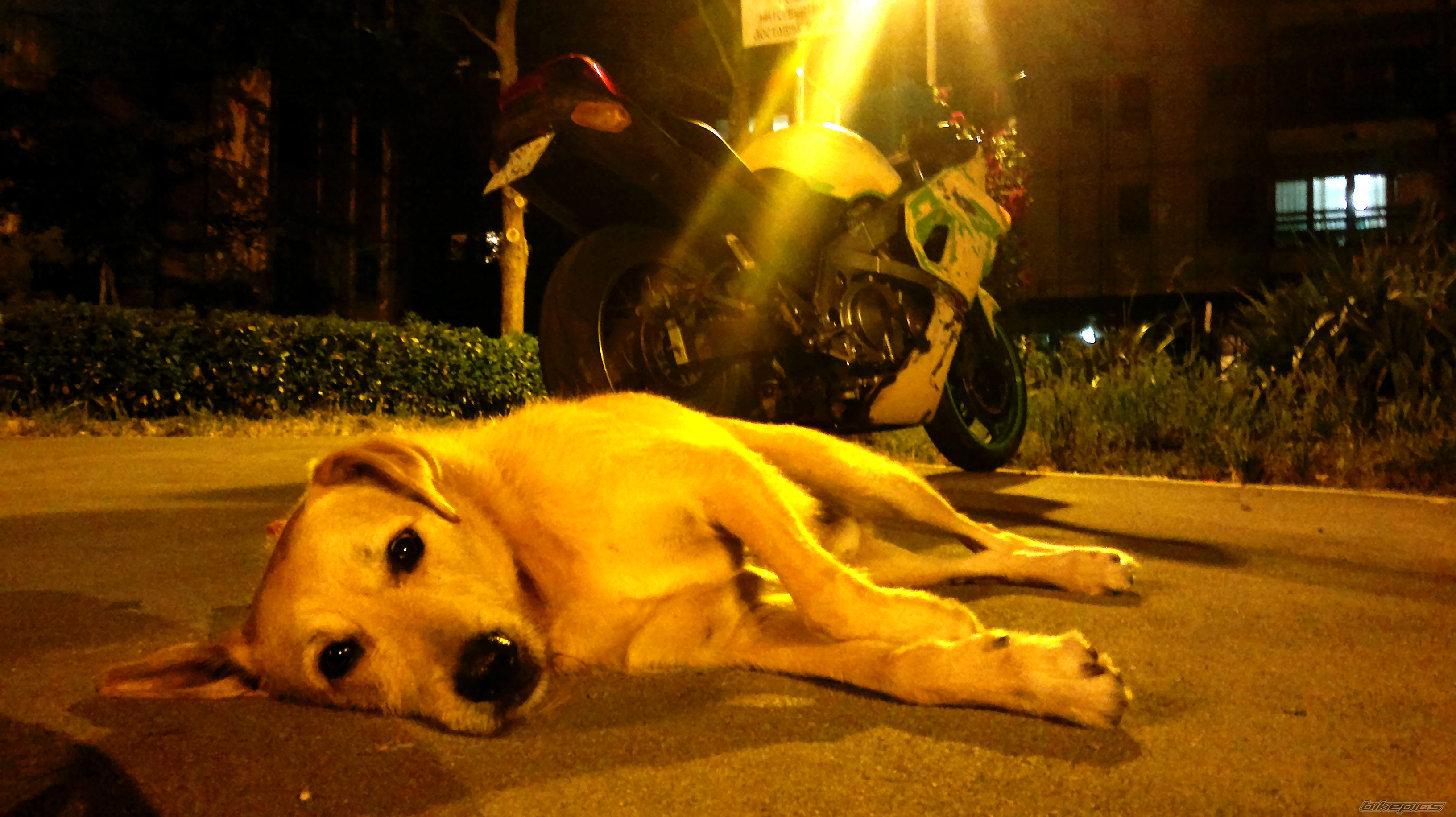 Photo 2554146