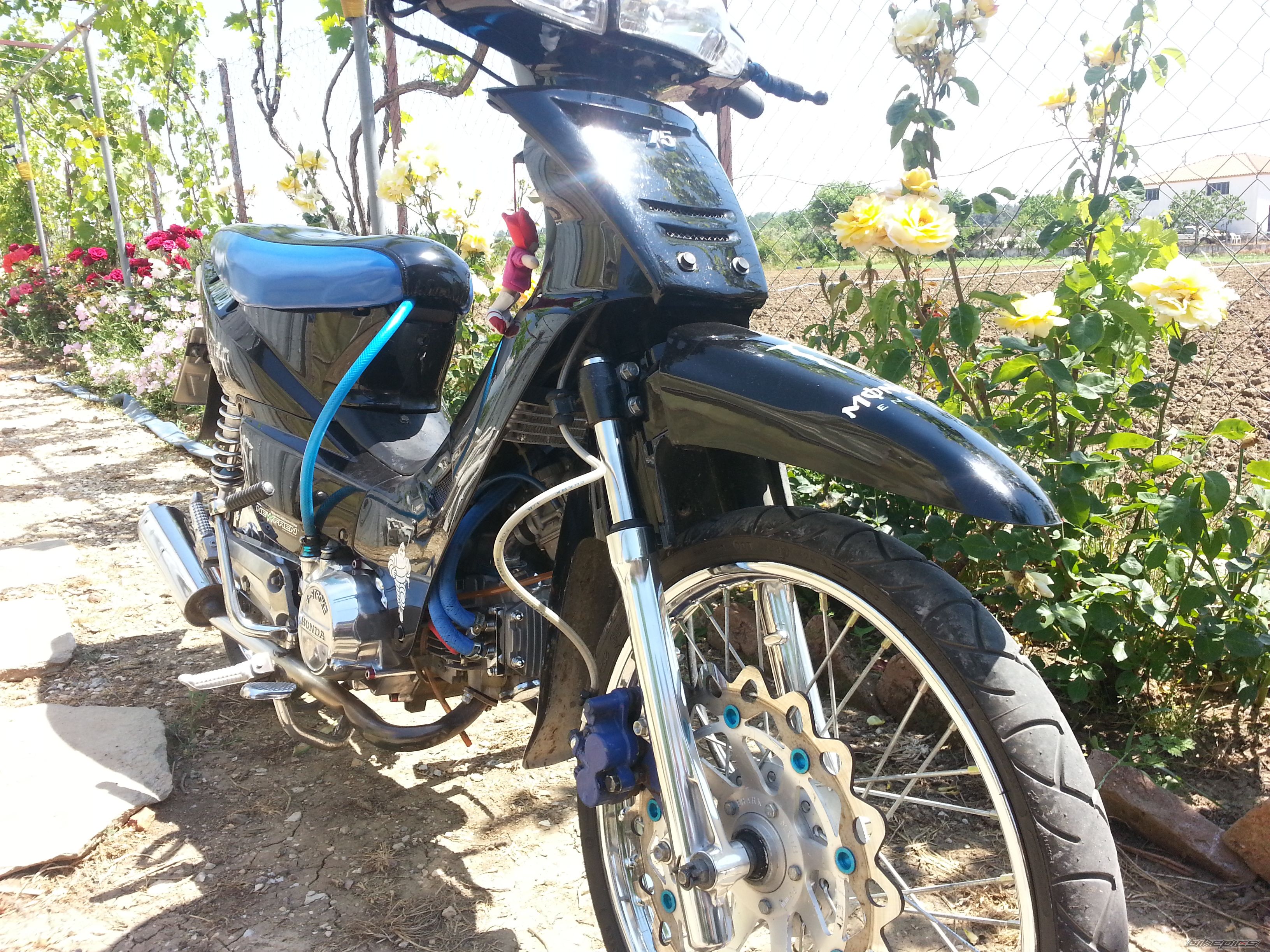 Photo 2554183
