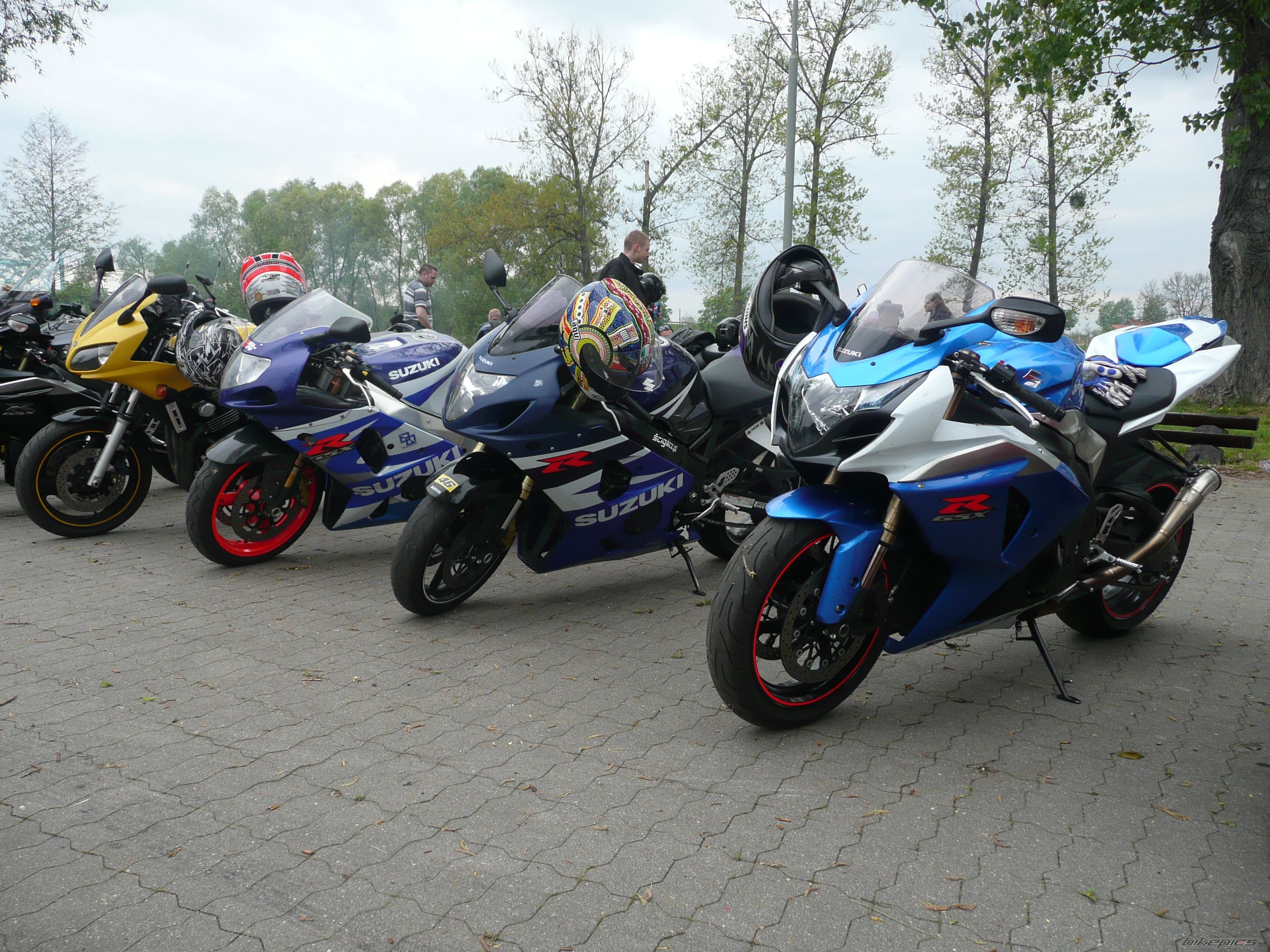 Photo 2554249
