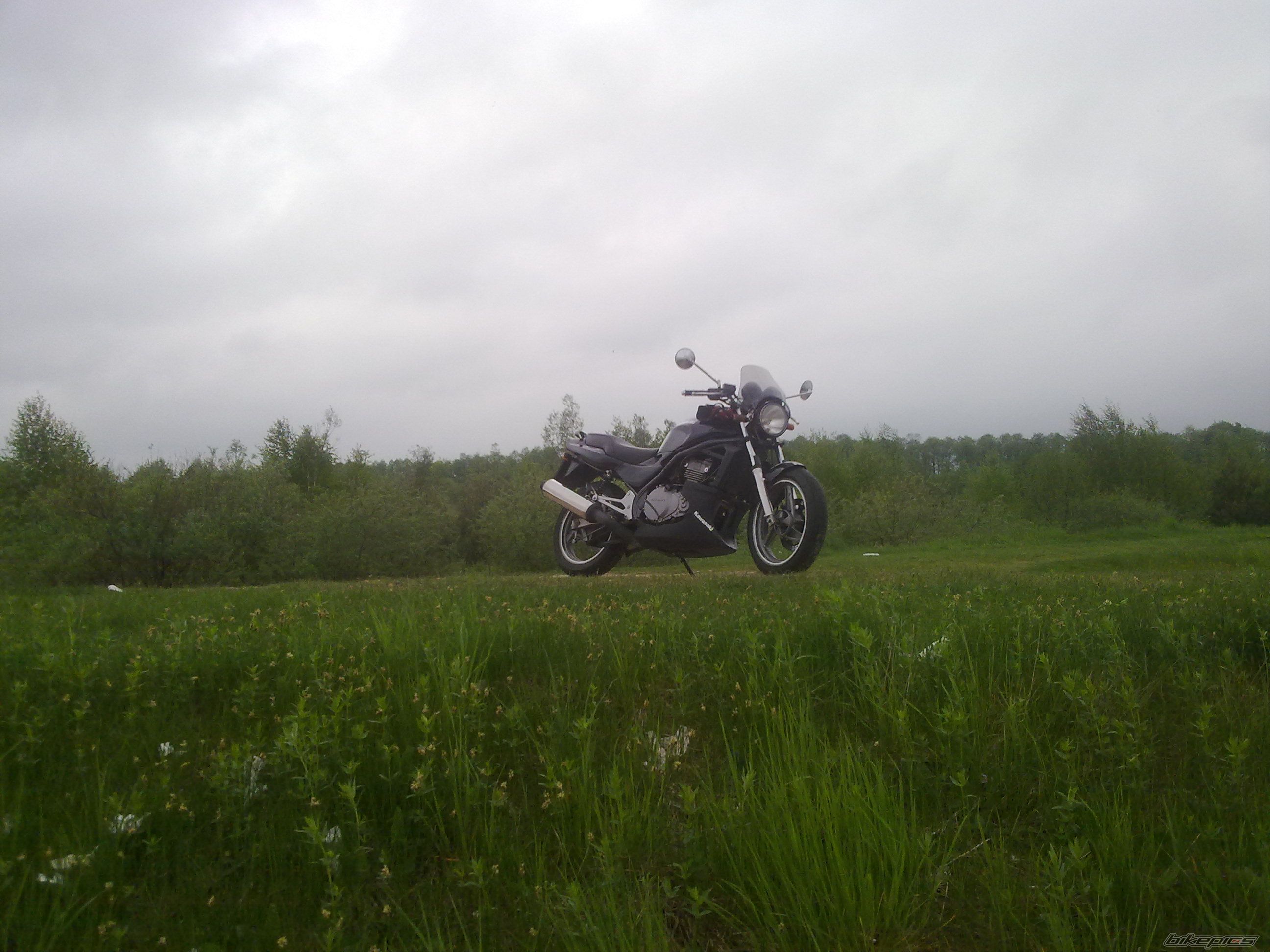 Photo 2554259