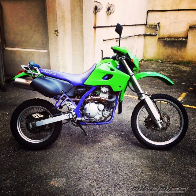 Photo 2554271