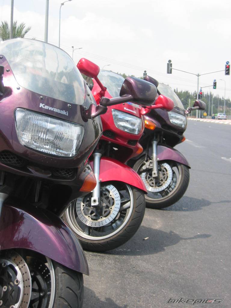 Photo 255428