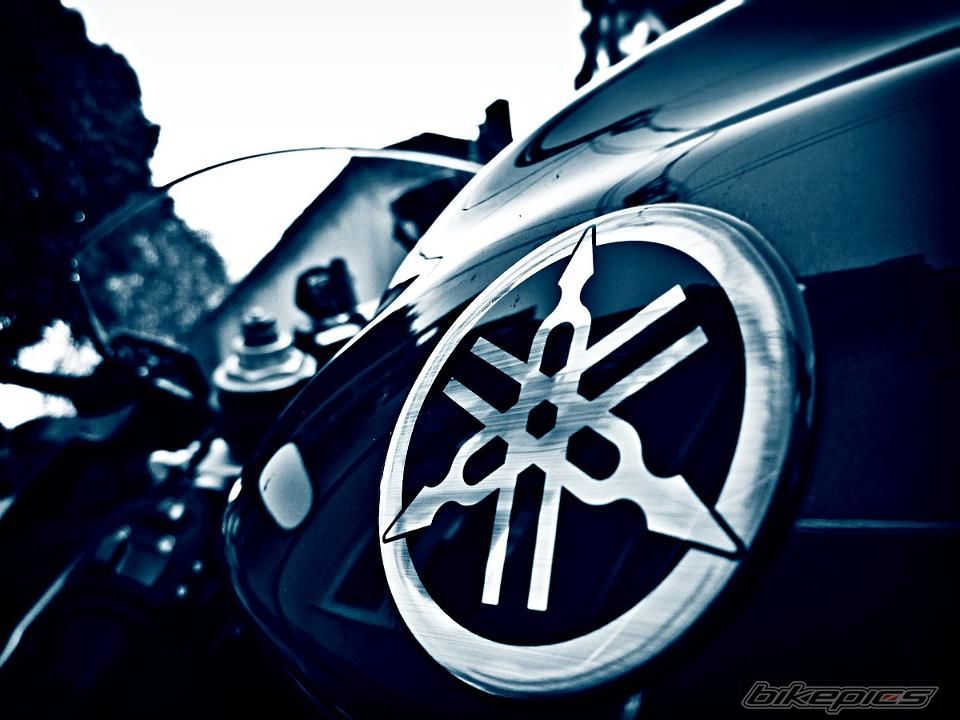 Photo 2554298
