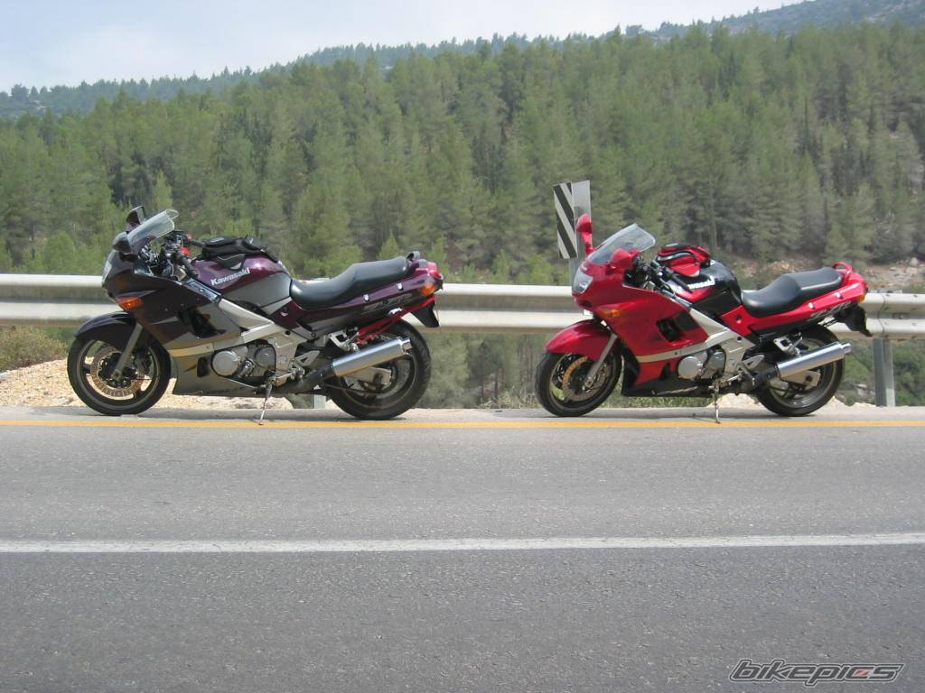 Photo 255430