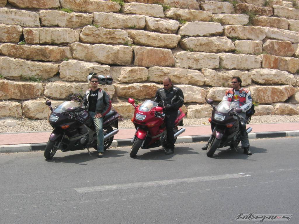 Photo 255431