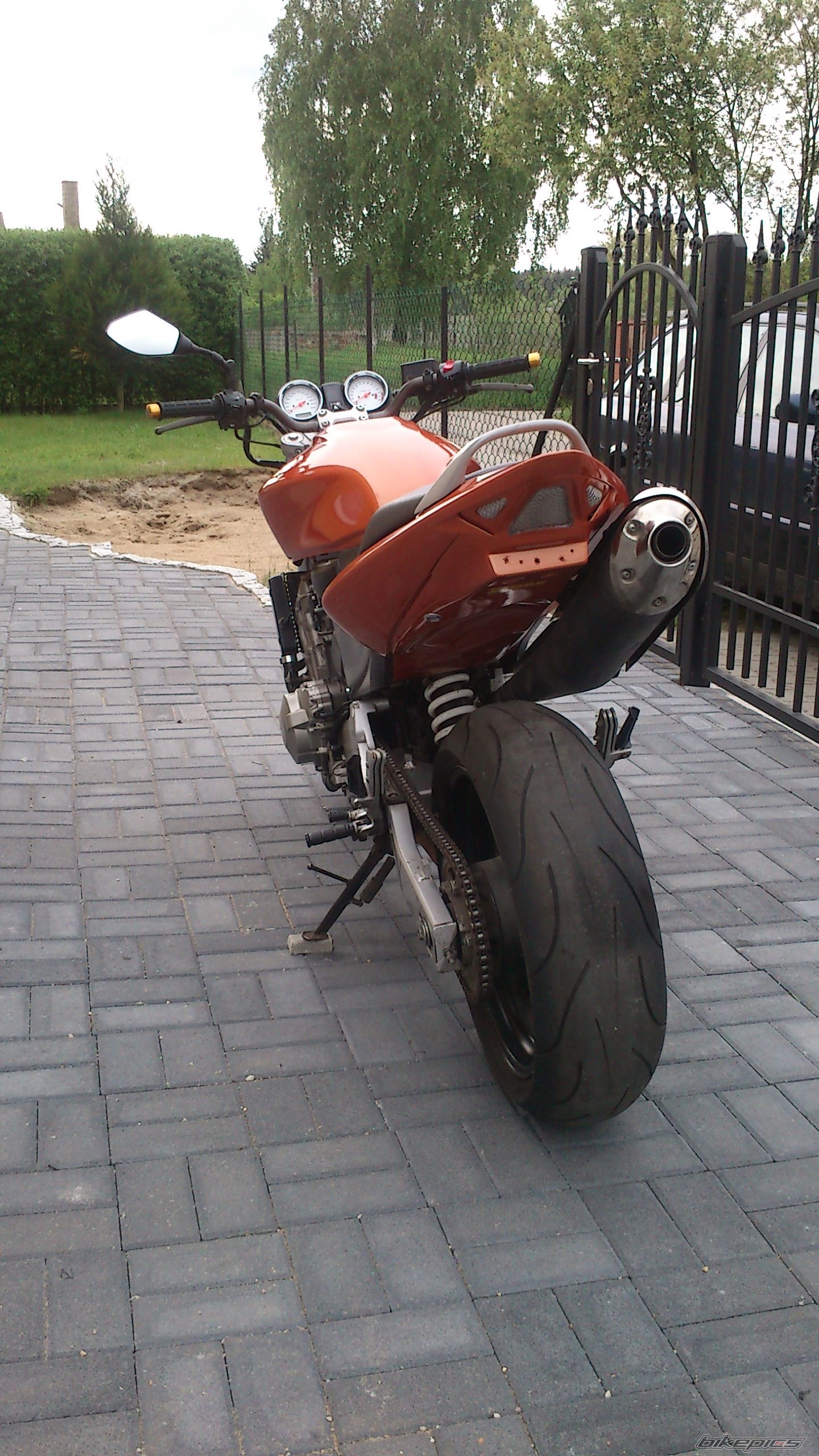 Photo 2554362