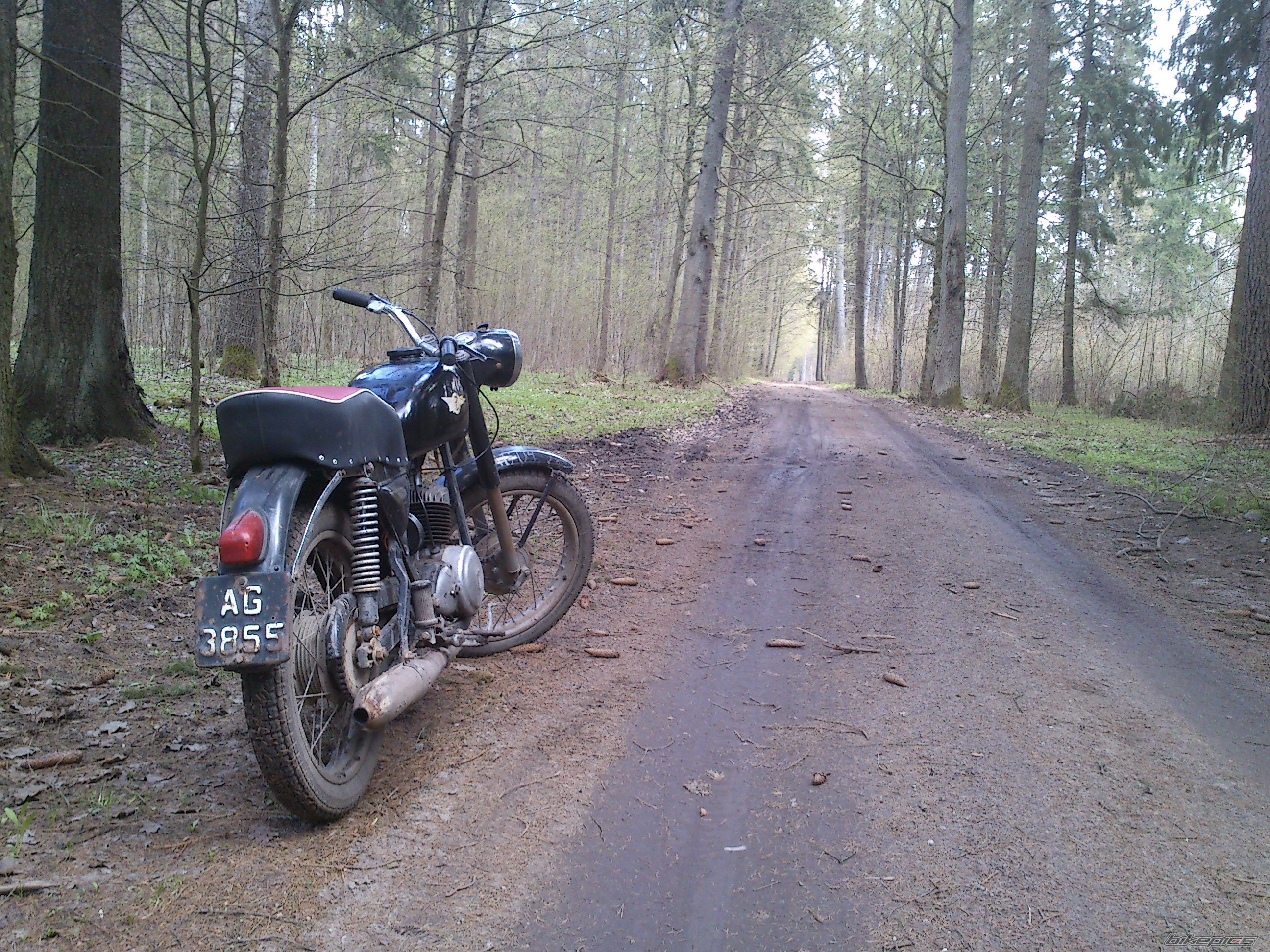 Photo 2554380