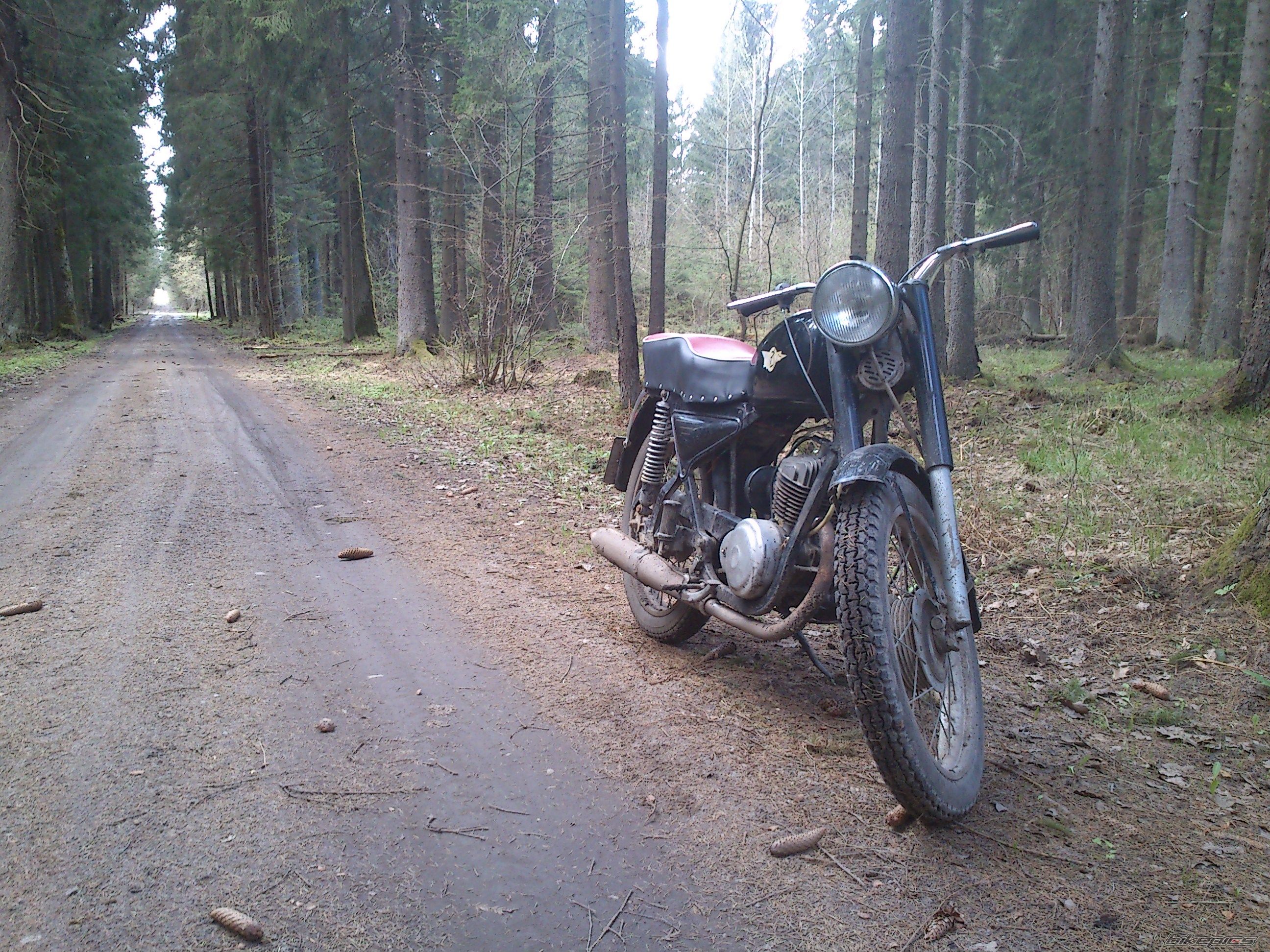 Photo 2554382