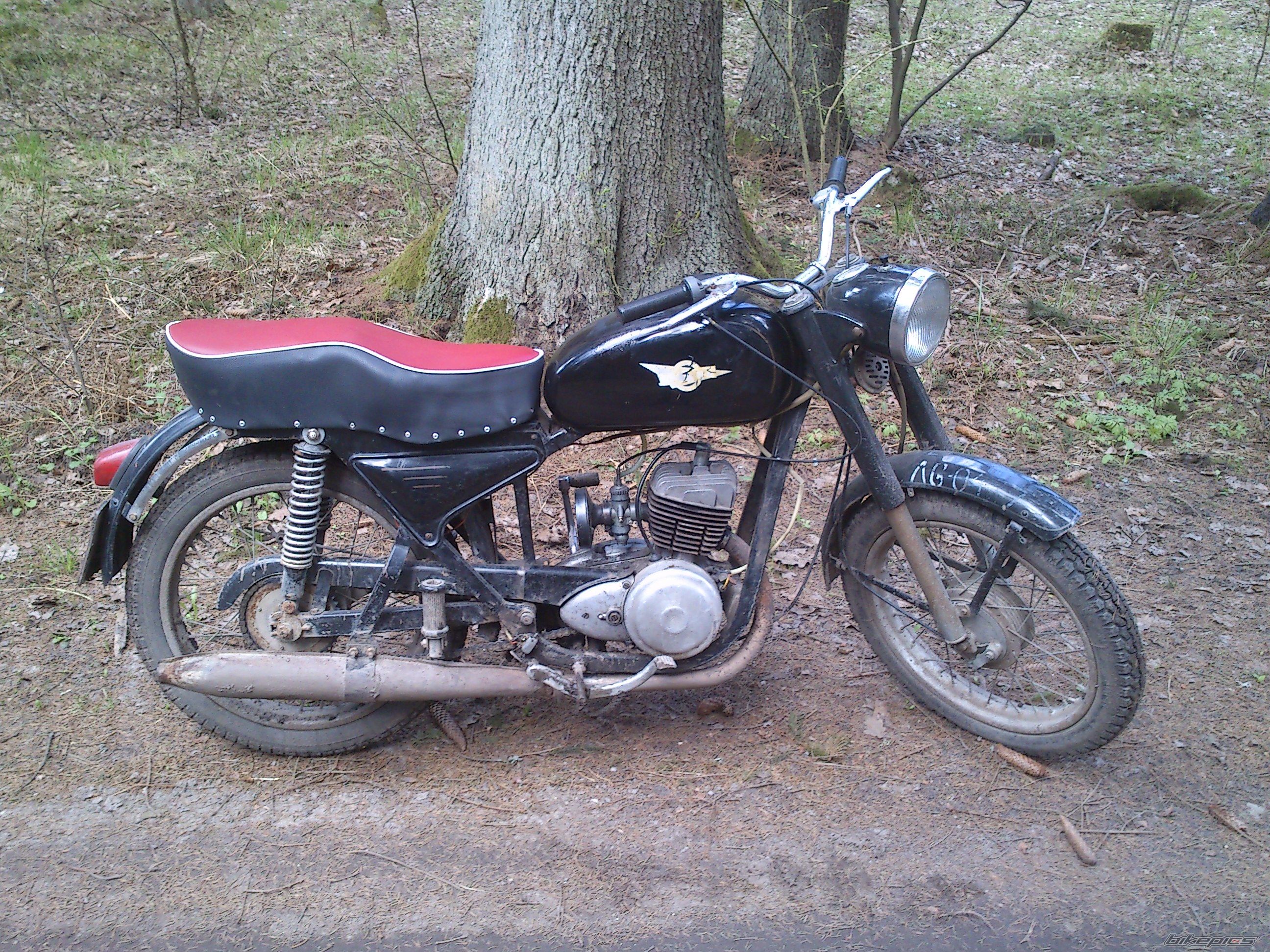 Photo 2554386