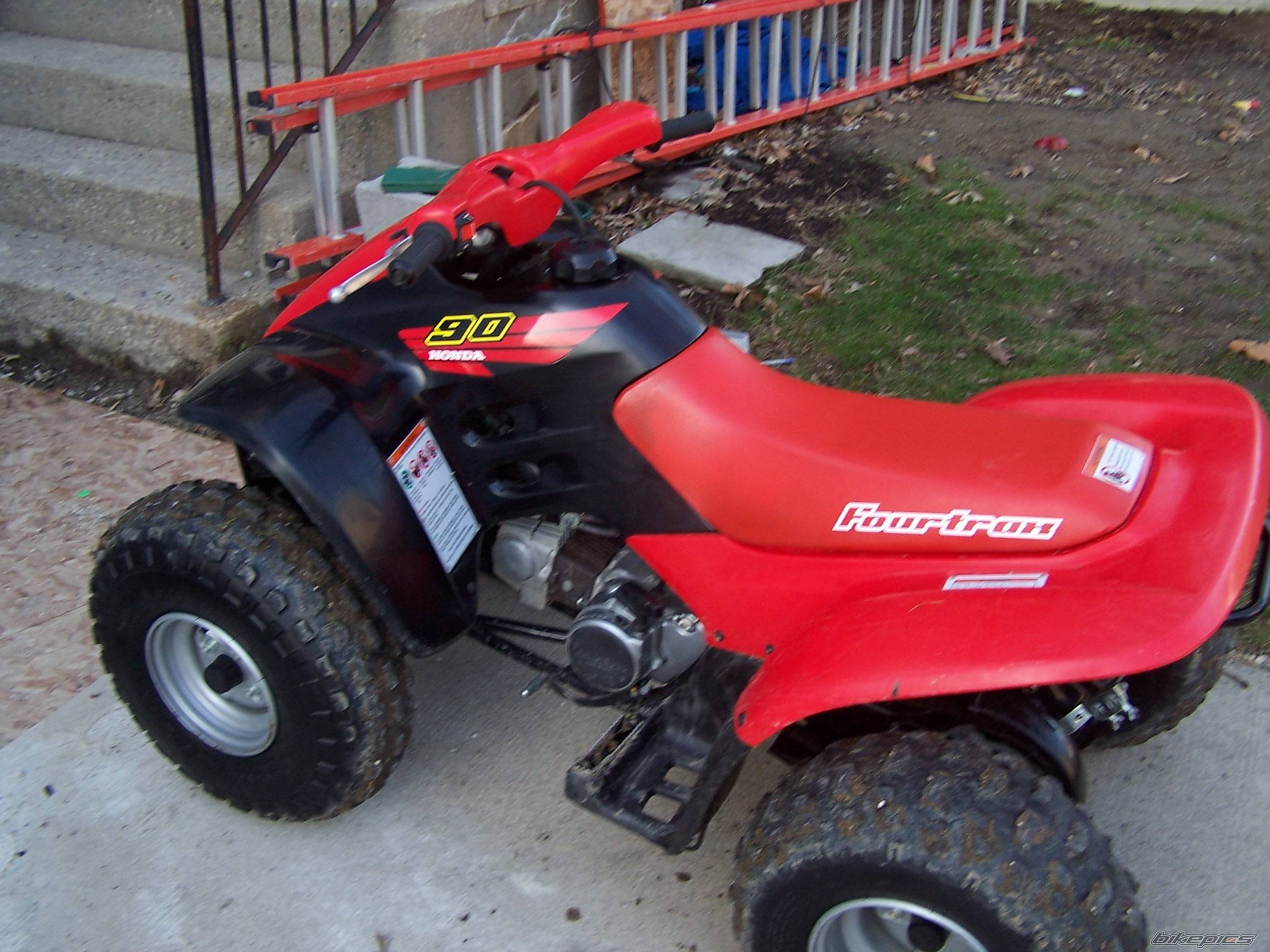 Photo 255439