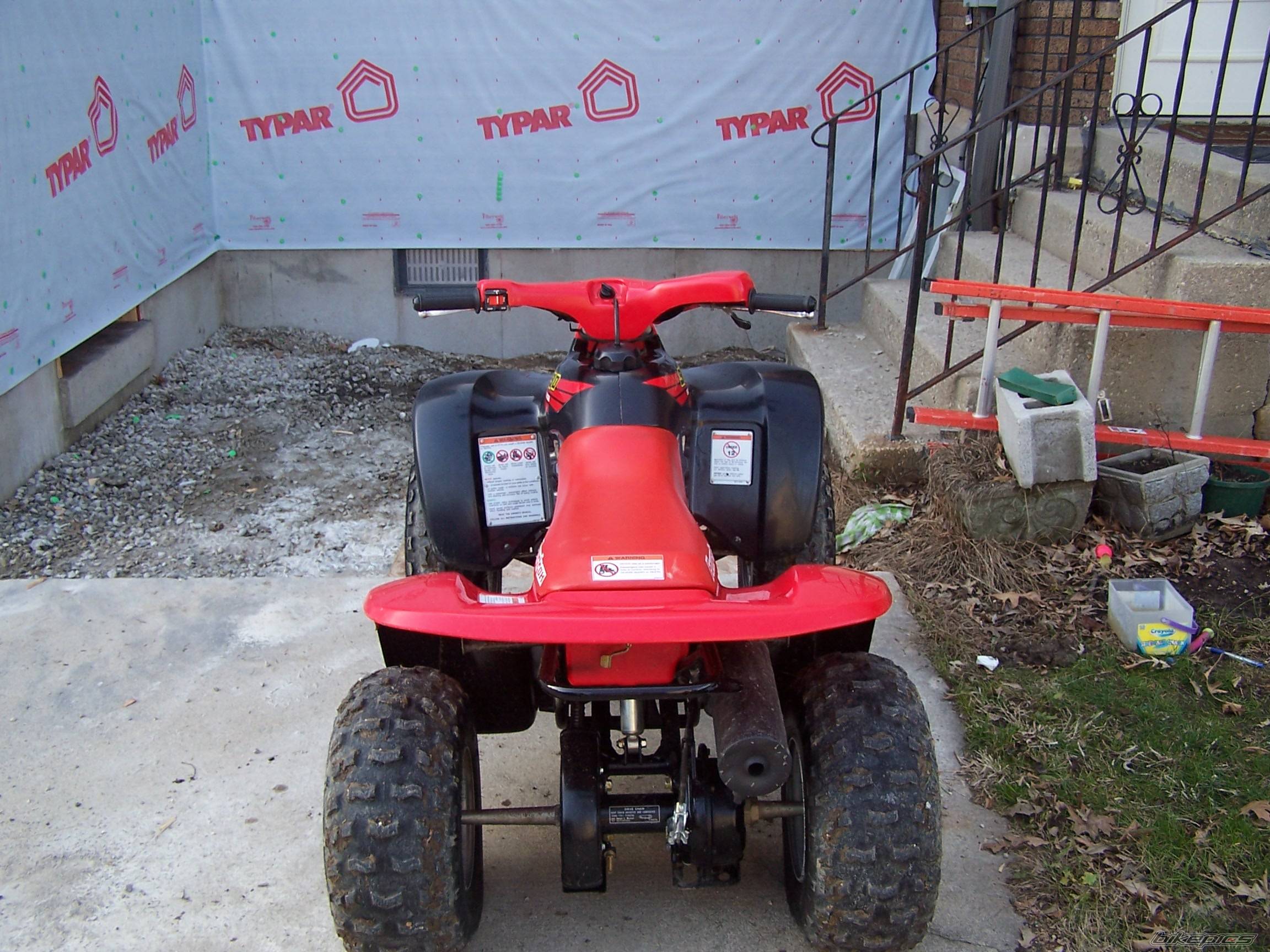 Photo 255443