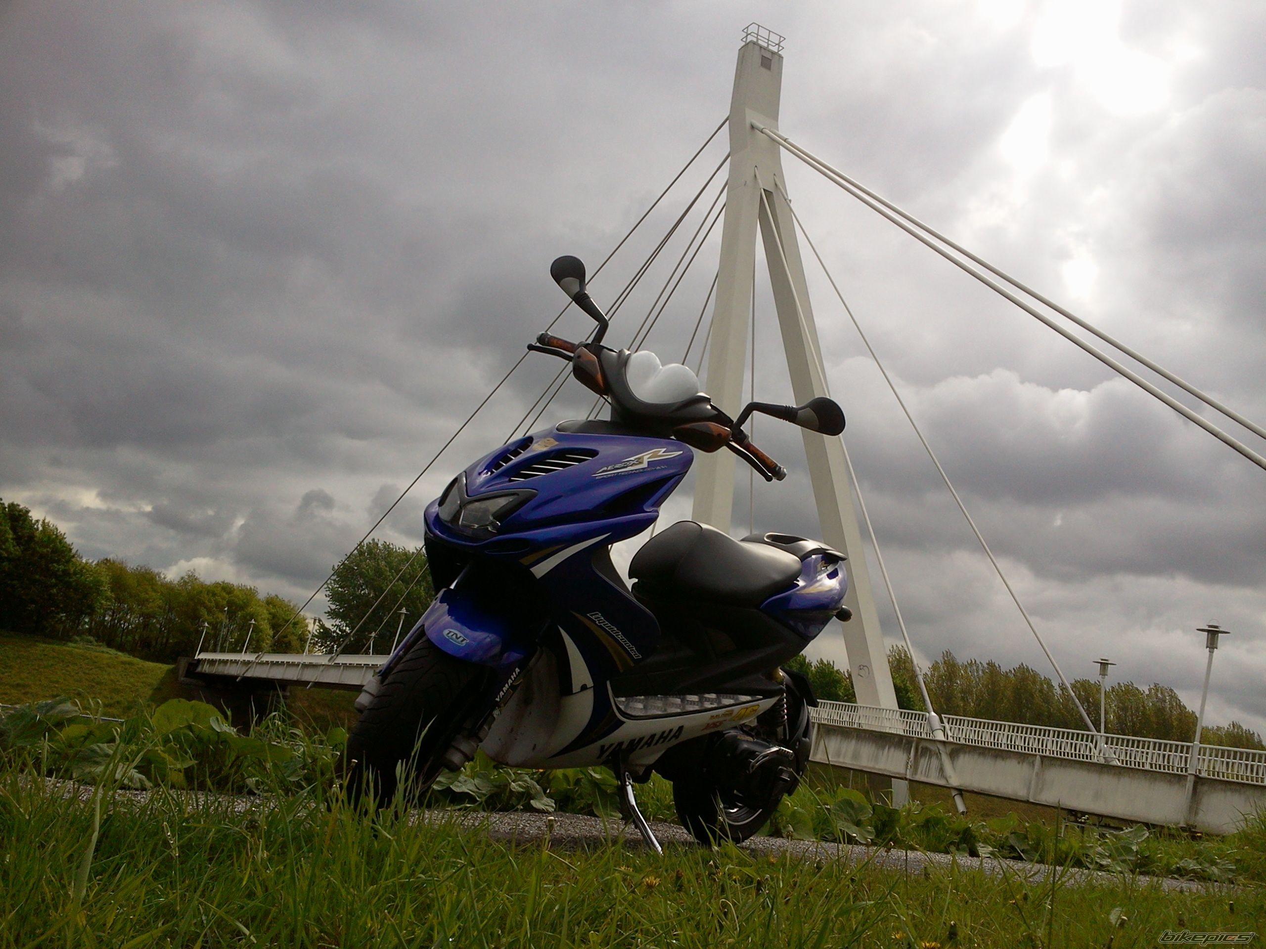 Photo 2554430
