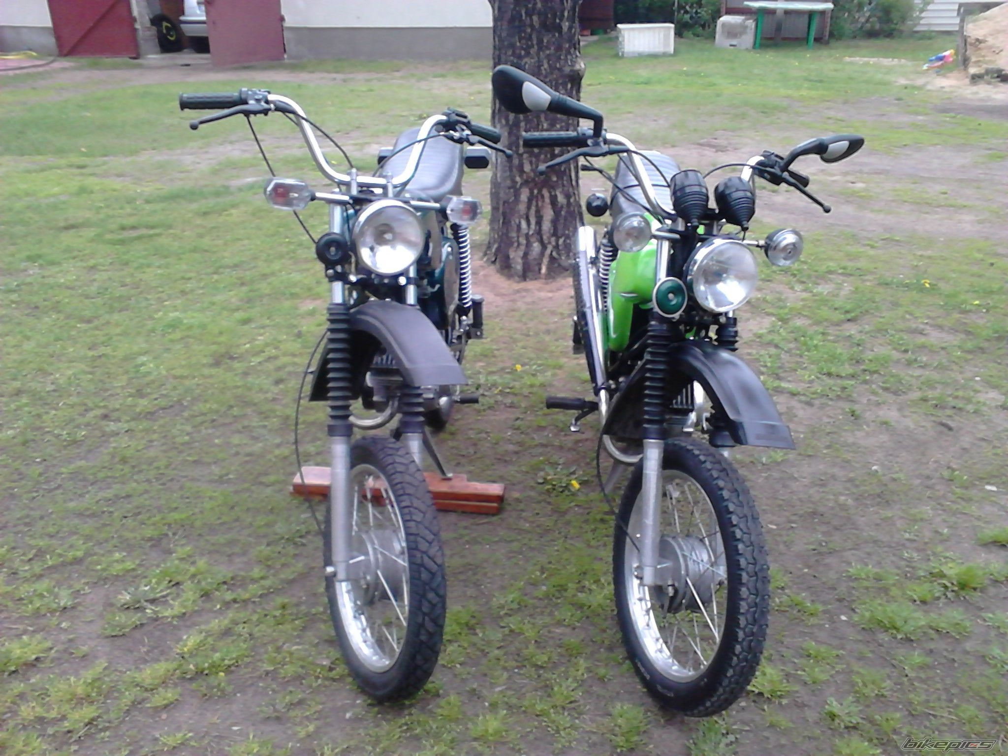 Photo 2554451