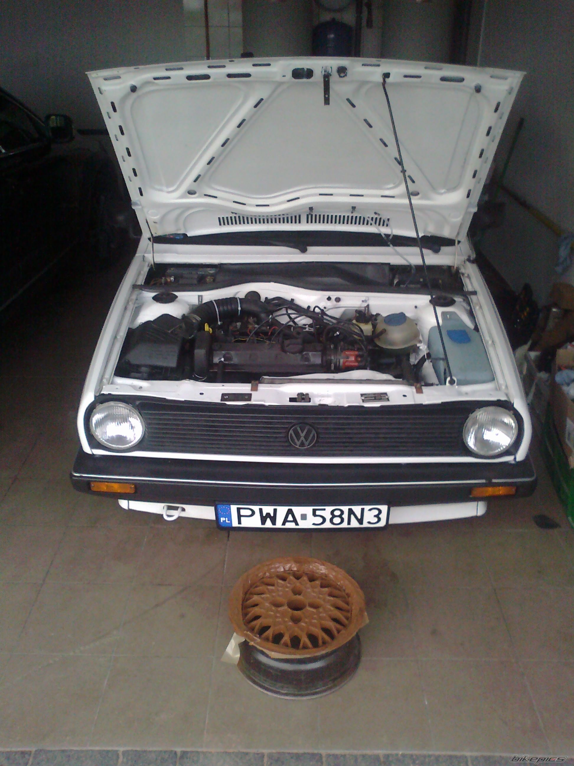 Photo 2554460