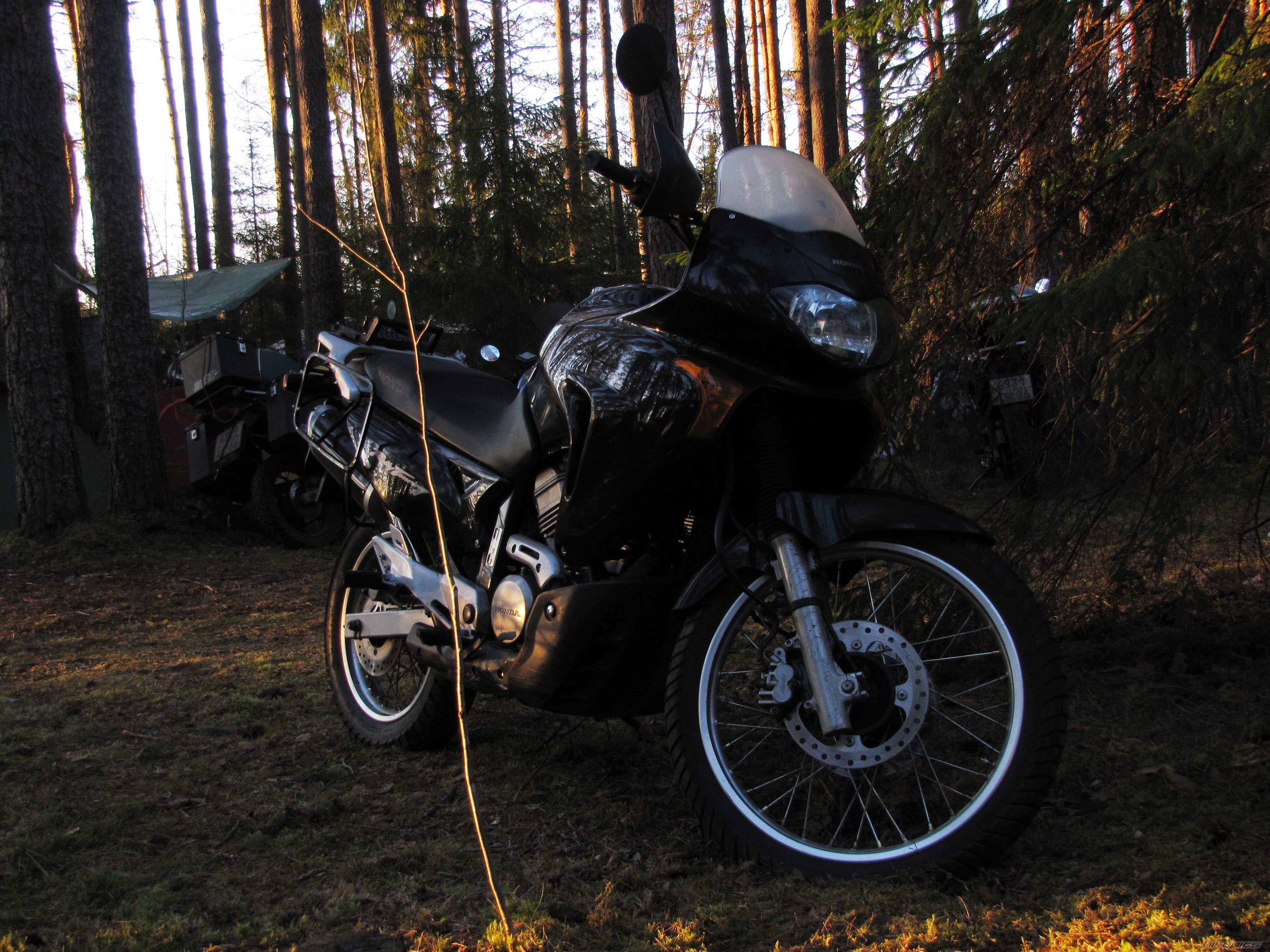 Photo 2554515