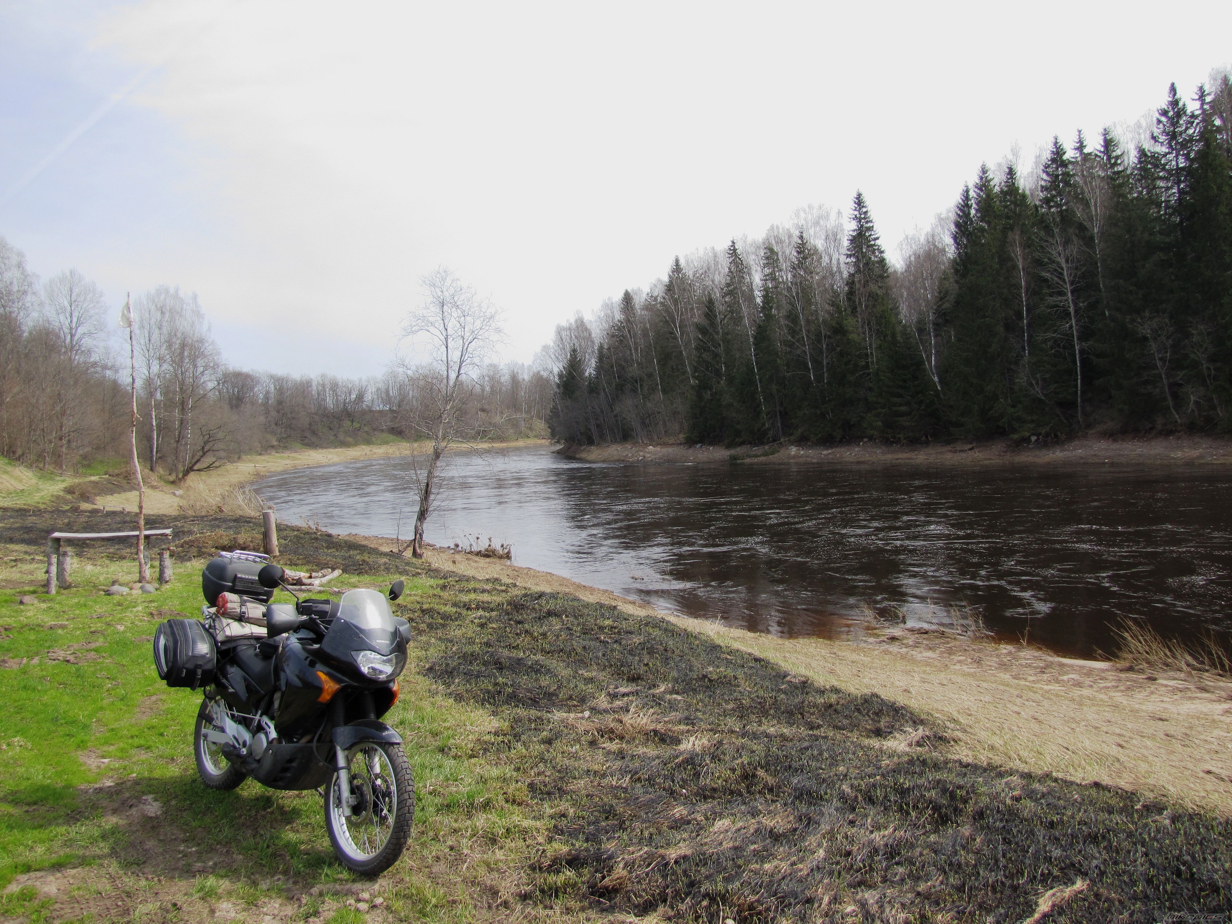 Photo 2554518