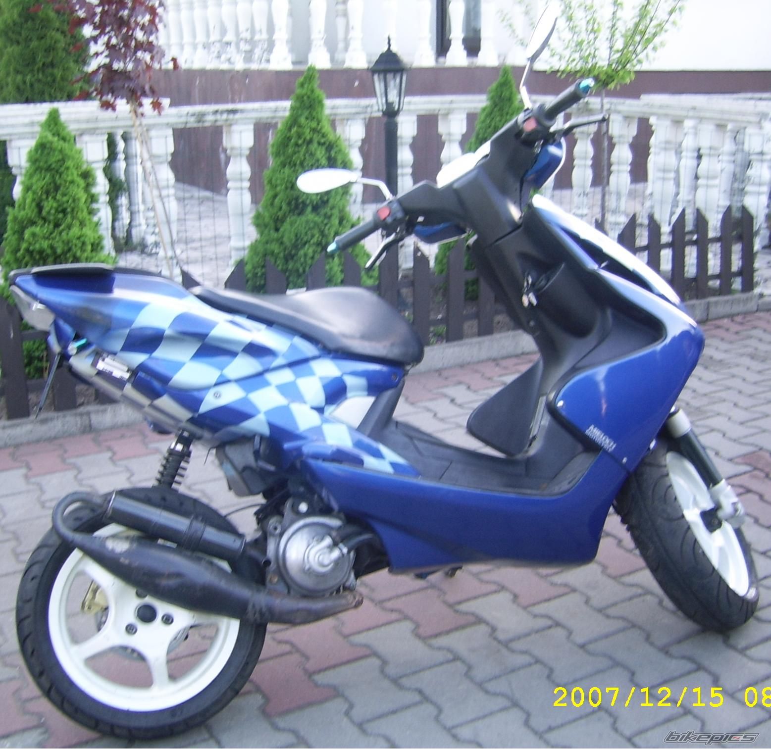 Photo 2554529