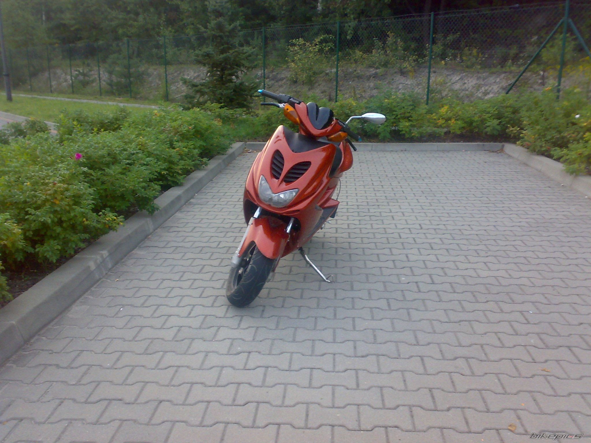 Photo 2554536