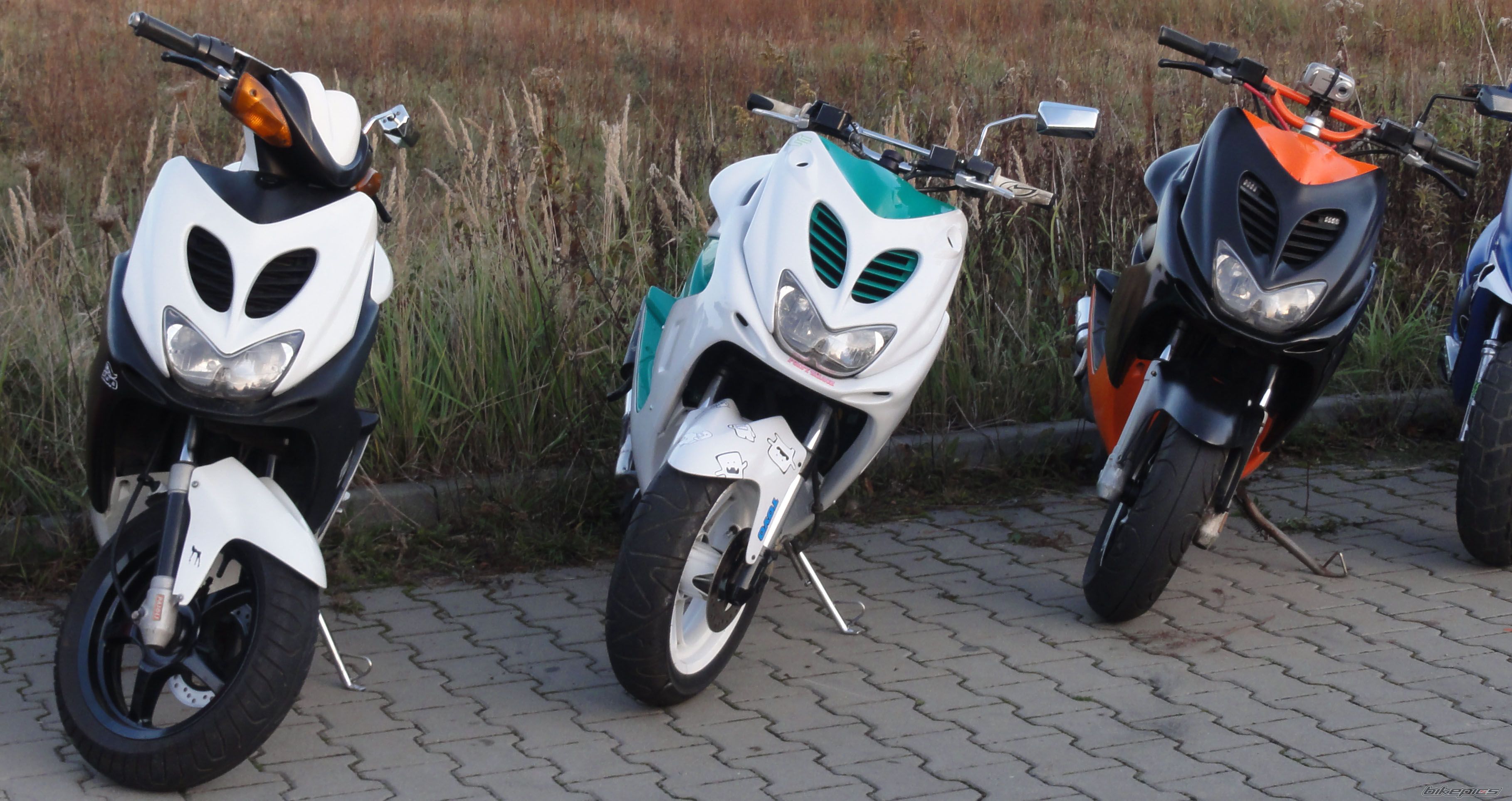 Photo 2554538