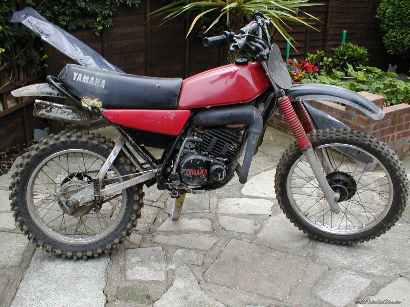 Photo 2554544