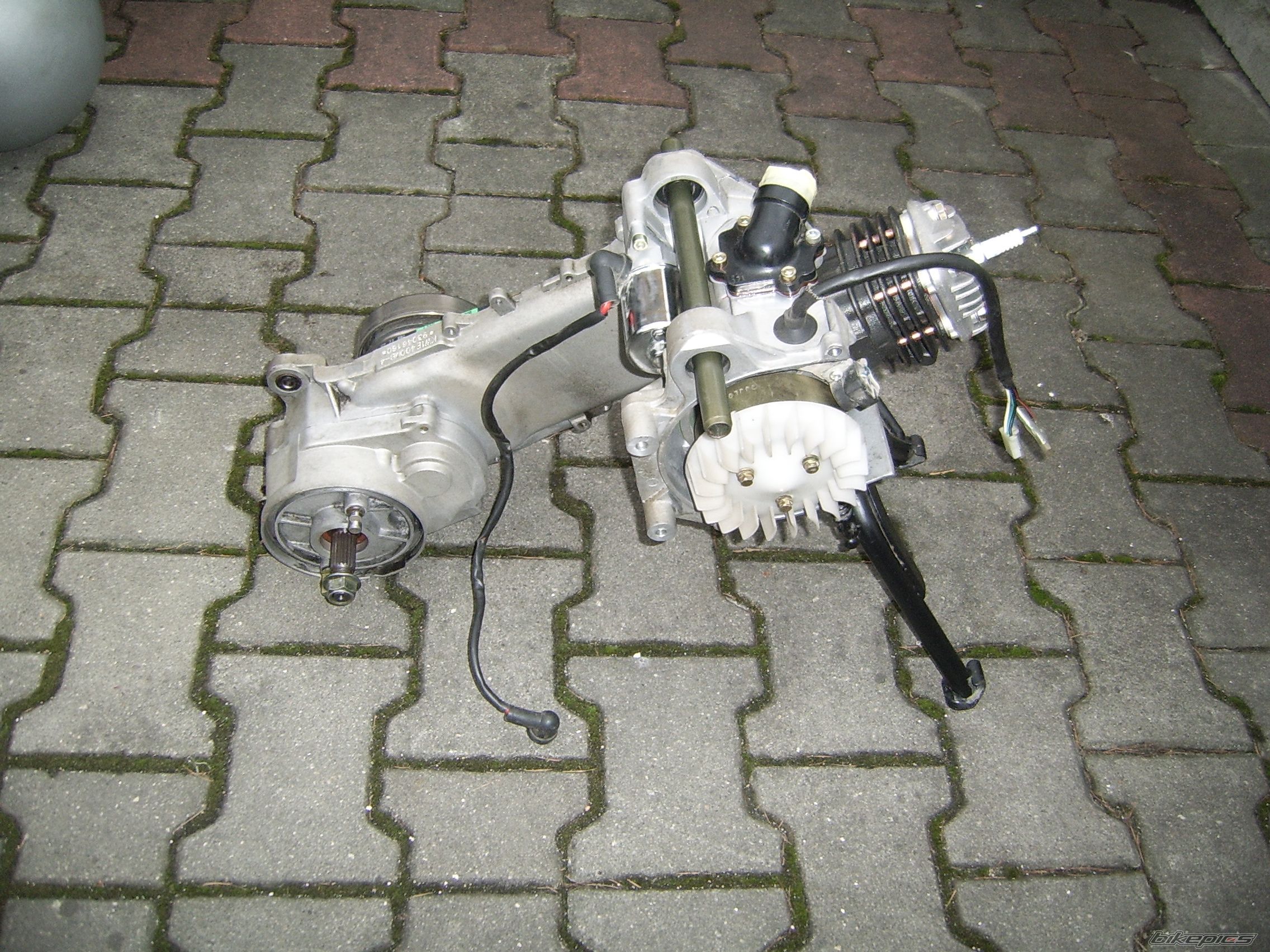 Photo 2554552