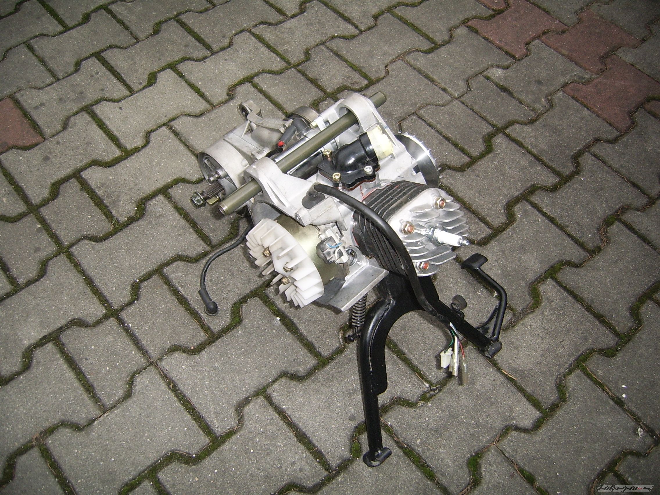 Photo 2554554