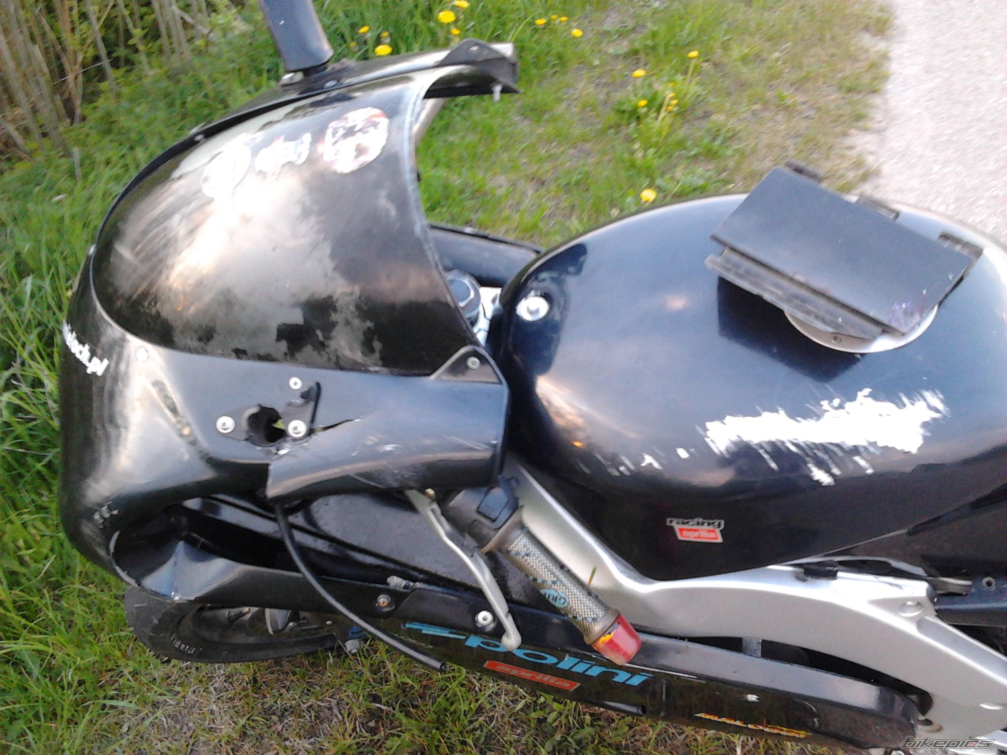 Photo 2554561