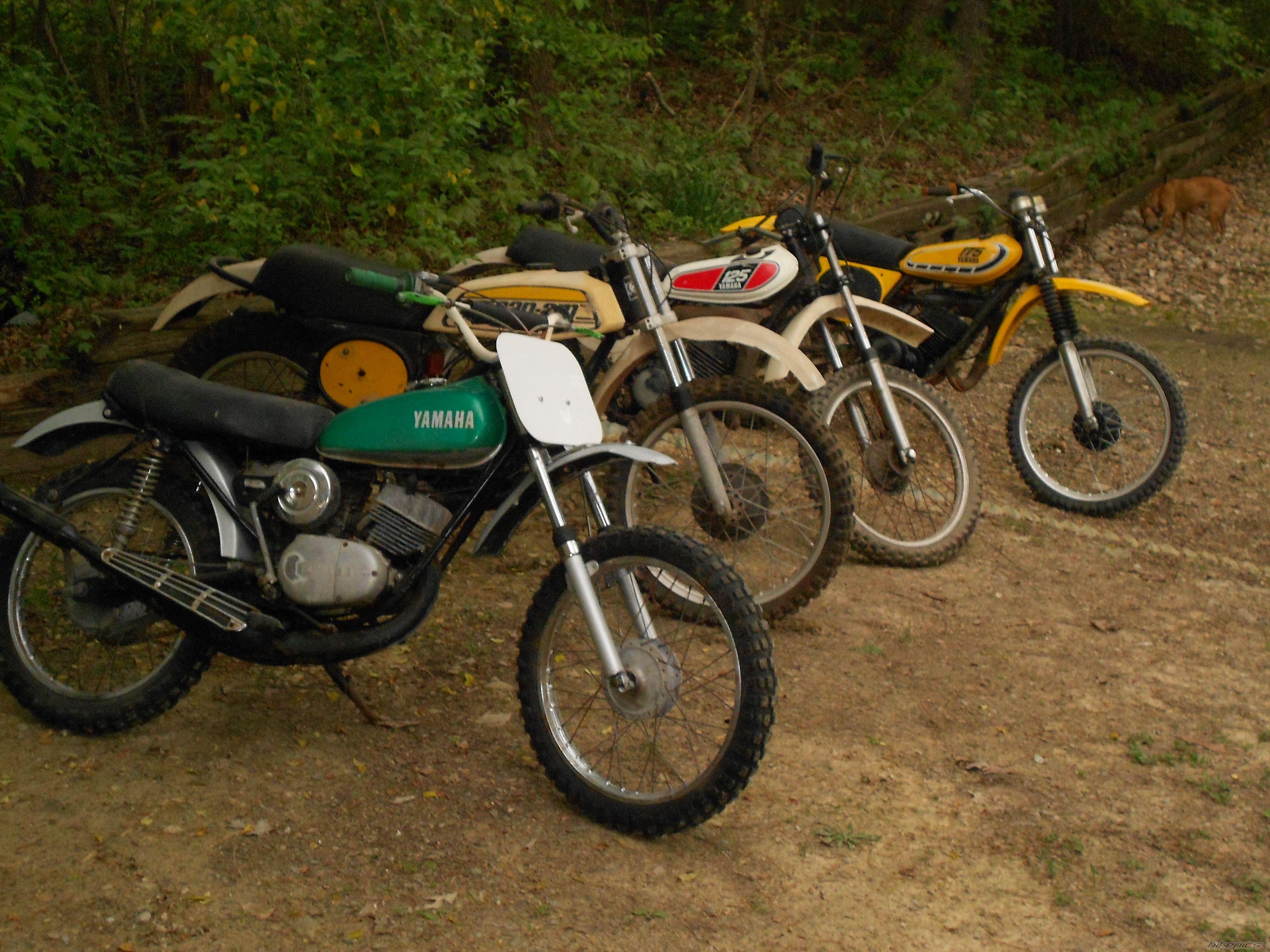 Photo 2554614