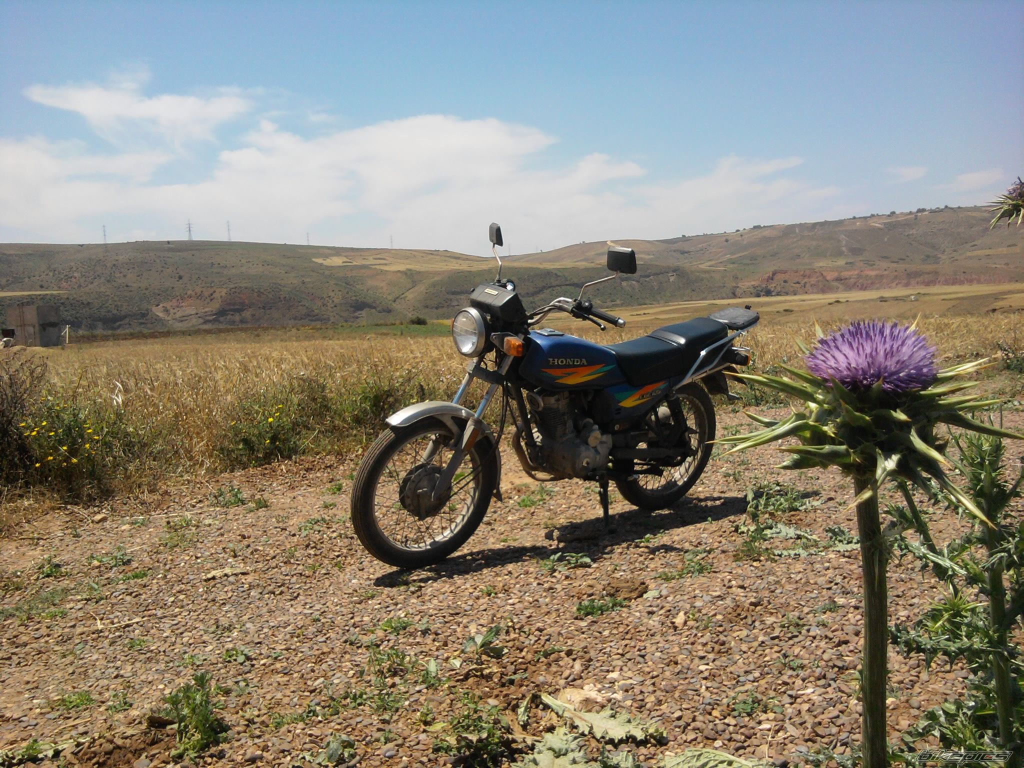 Photo 2554616