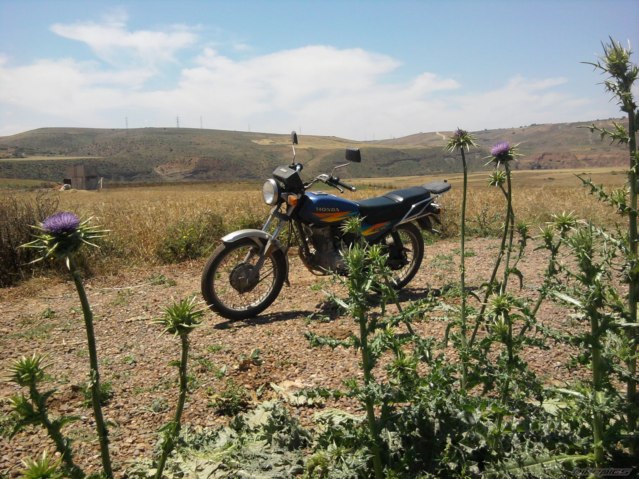 Photo 2554625