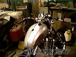 Photo 255465