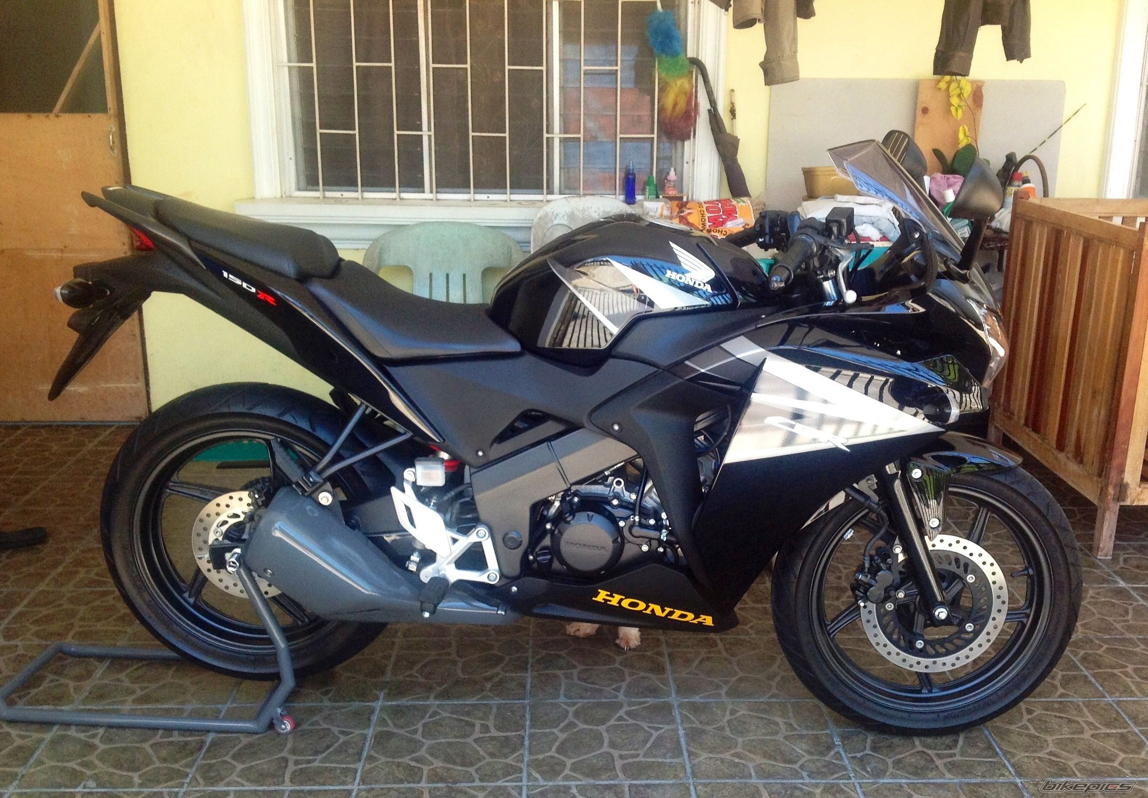Photo 2554659